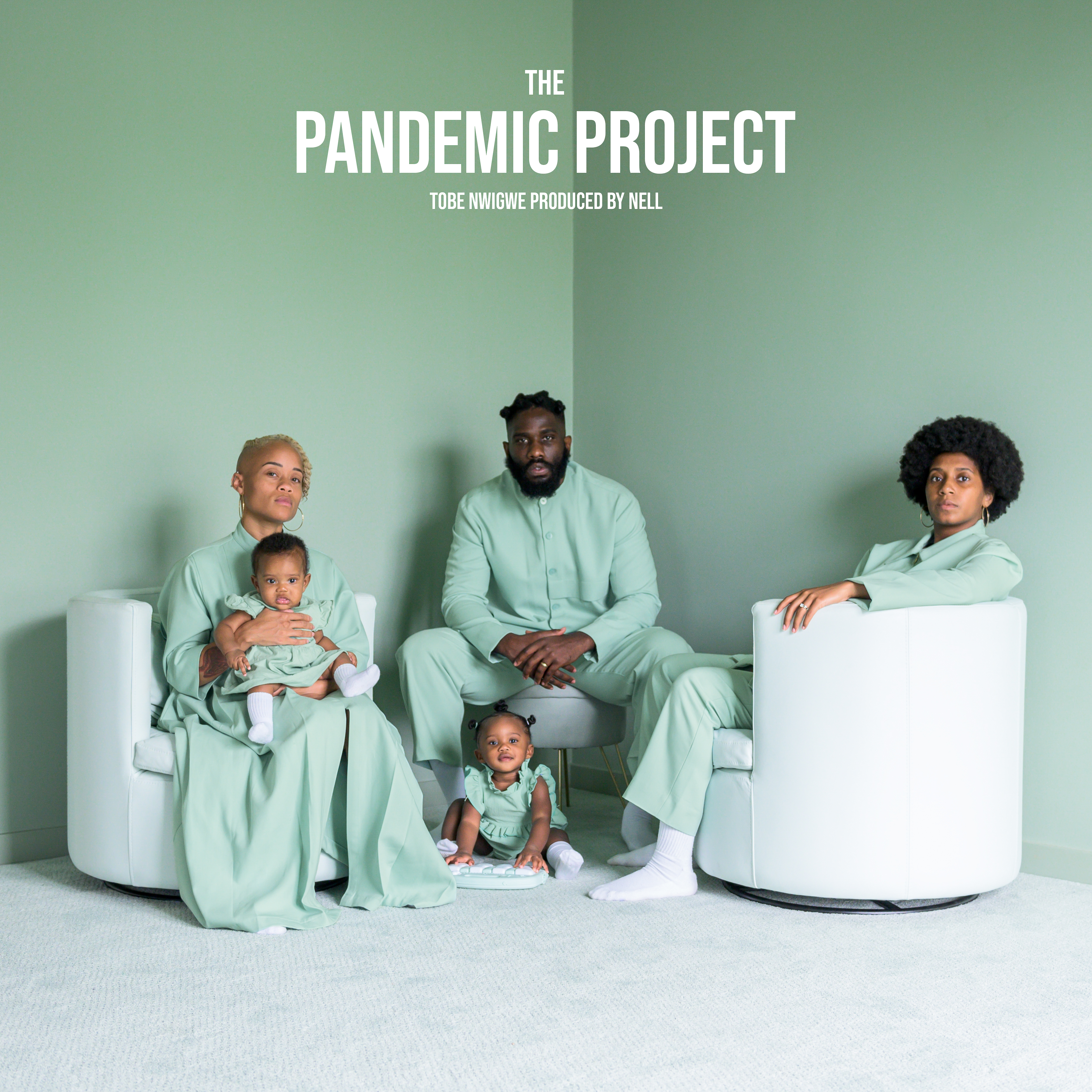 THE PANDEMIC PROJECT artwork