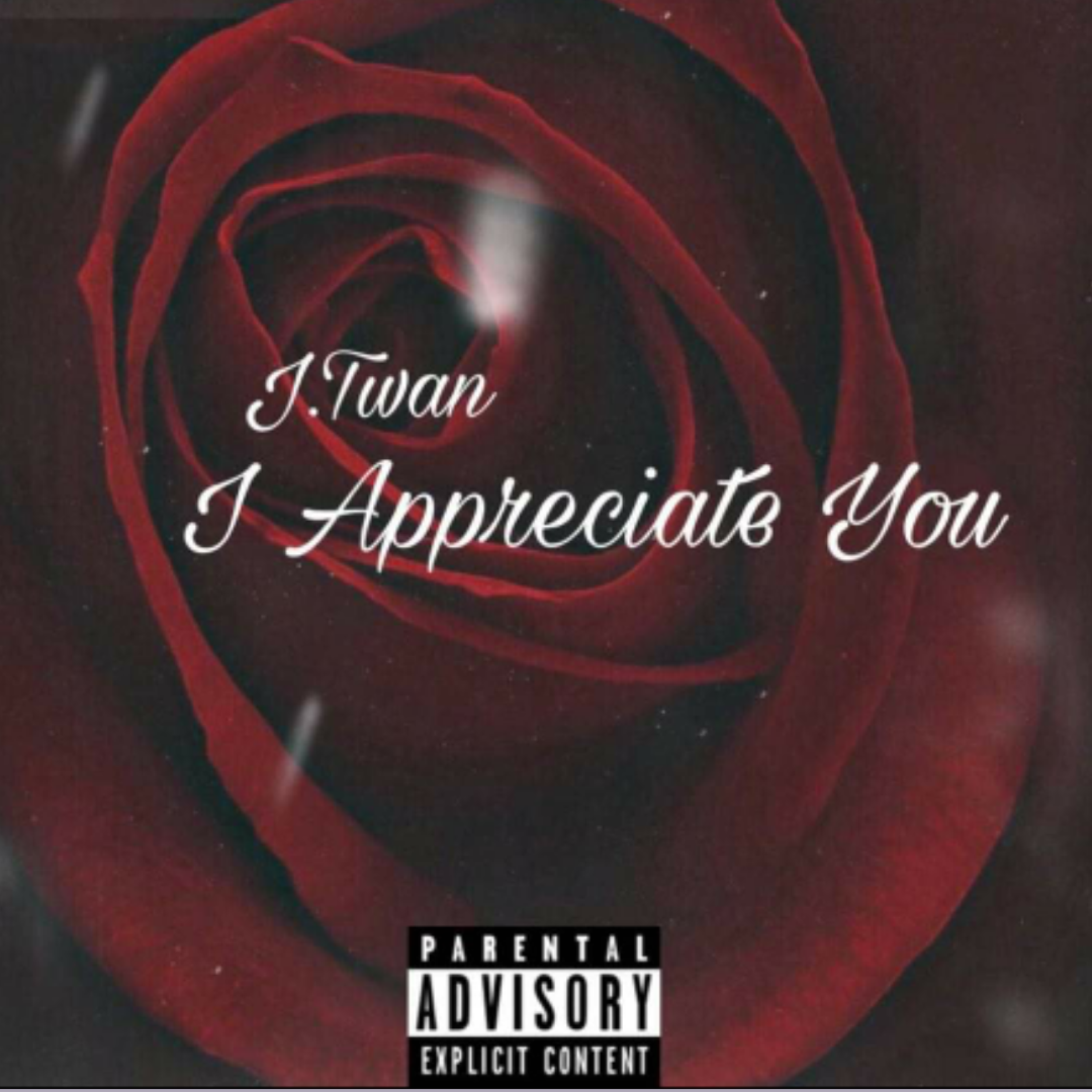 I Appreciate You artwork