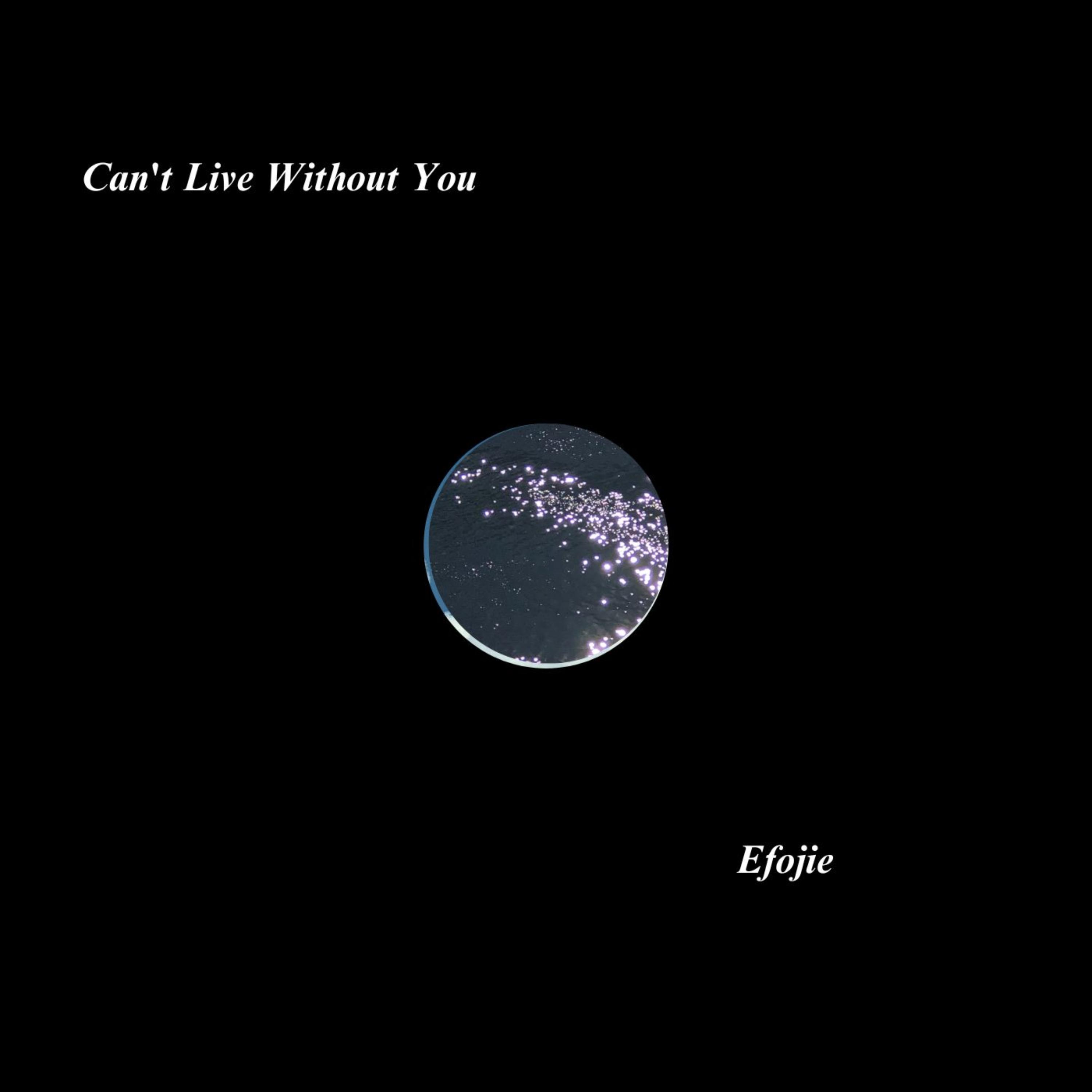 Can't Live Without You artwork