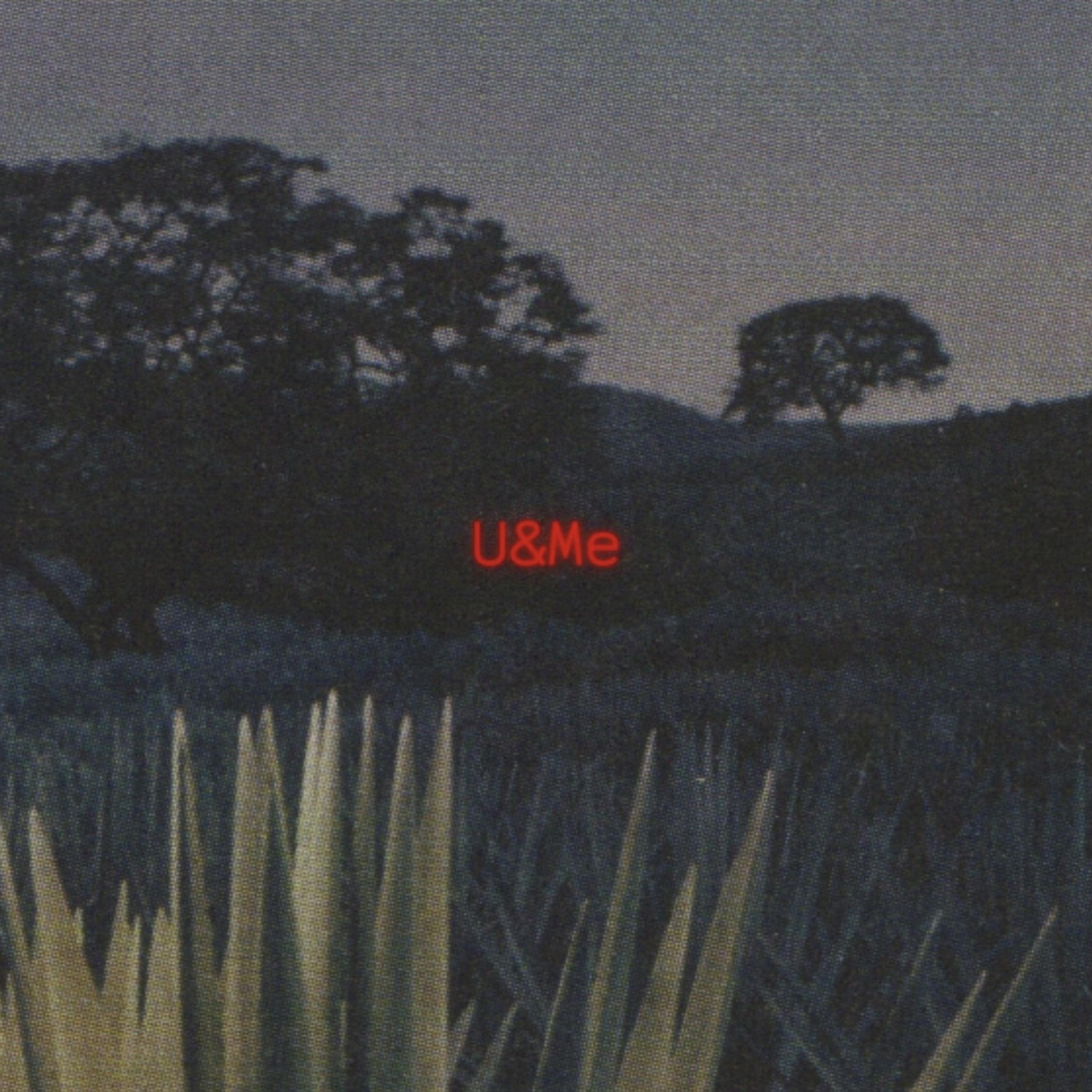 U & Me artwork