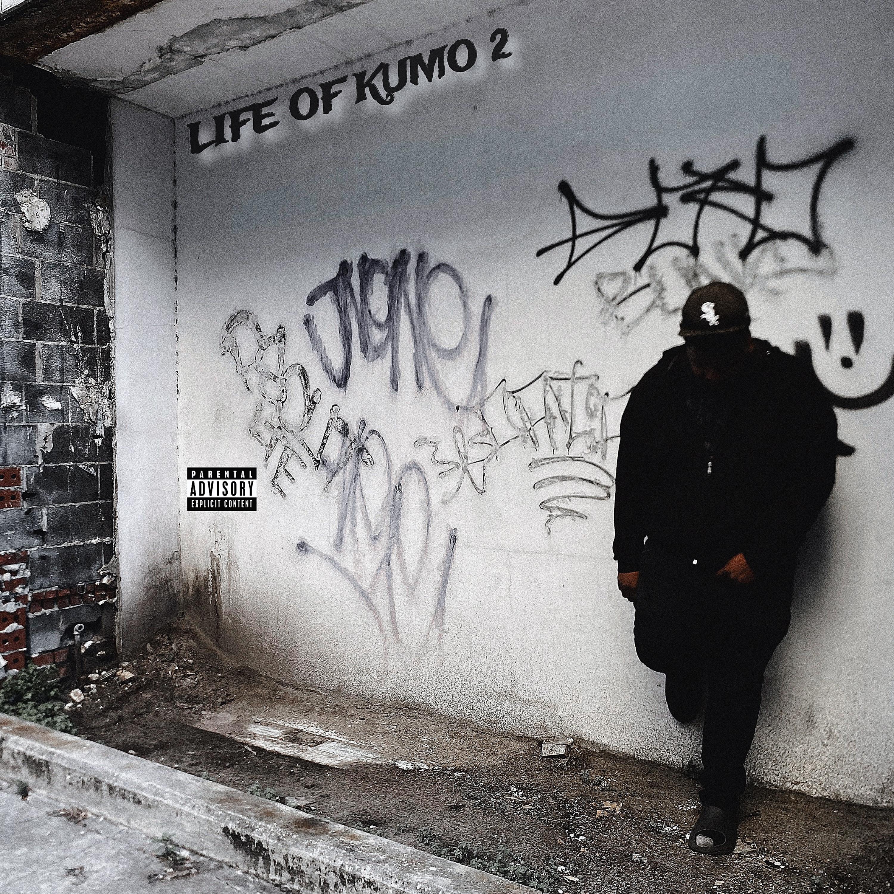 LIFE OF KUMO 2 artwork