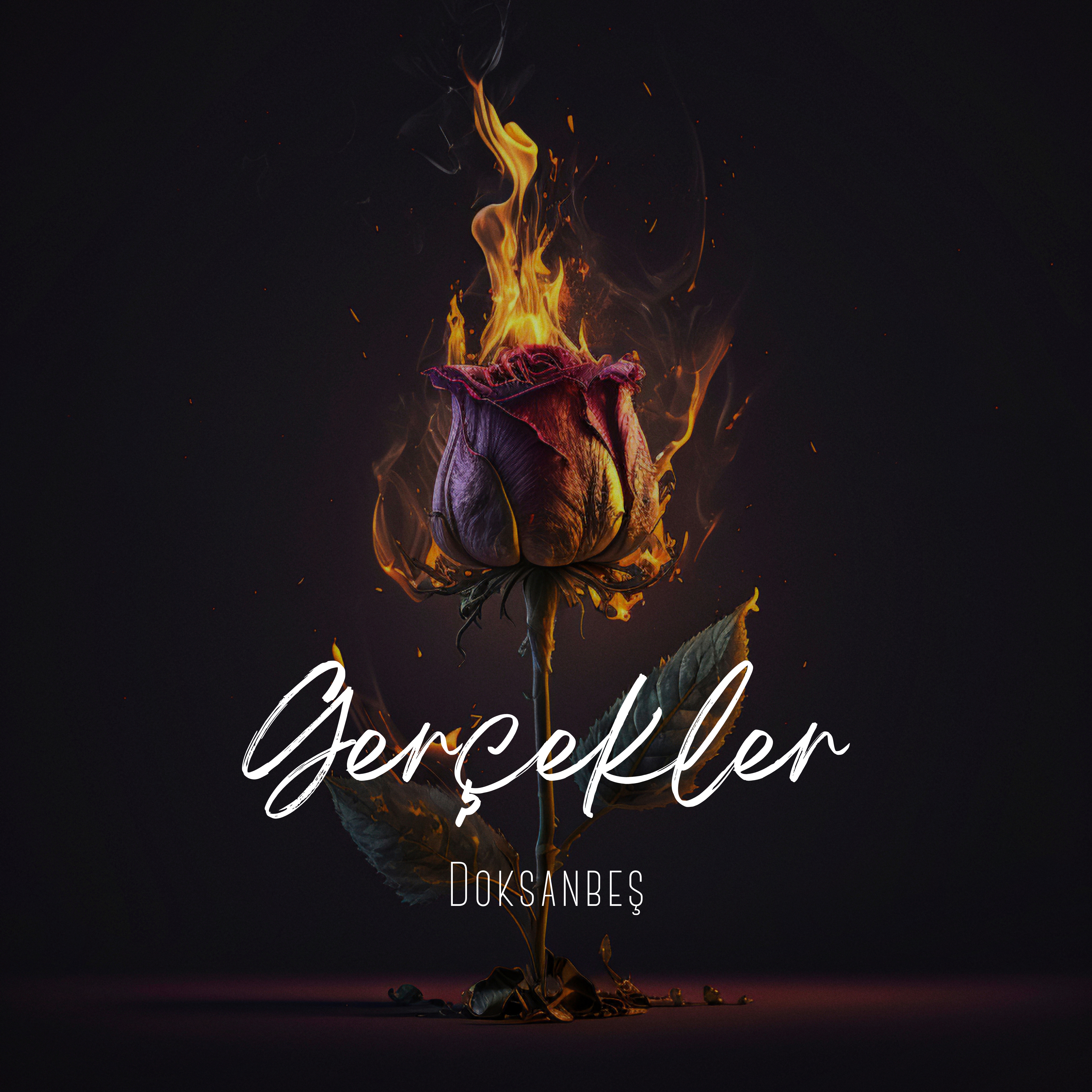 Gerçekler artwork