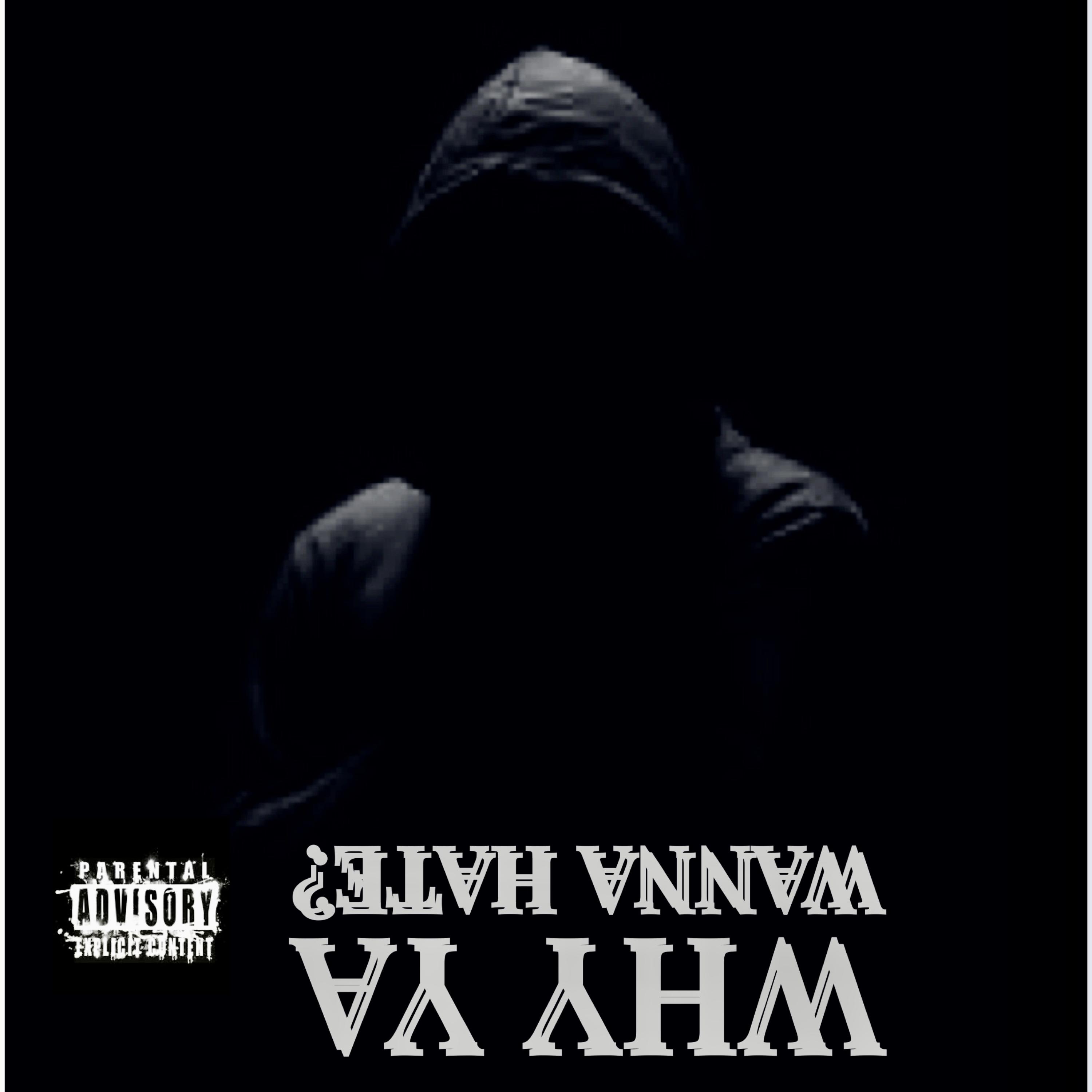 WHY YA WANNA HATE? artwork