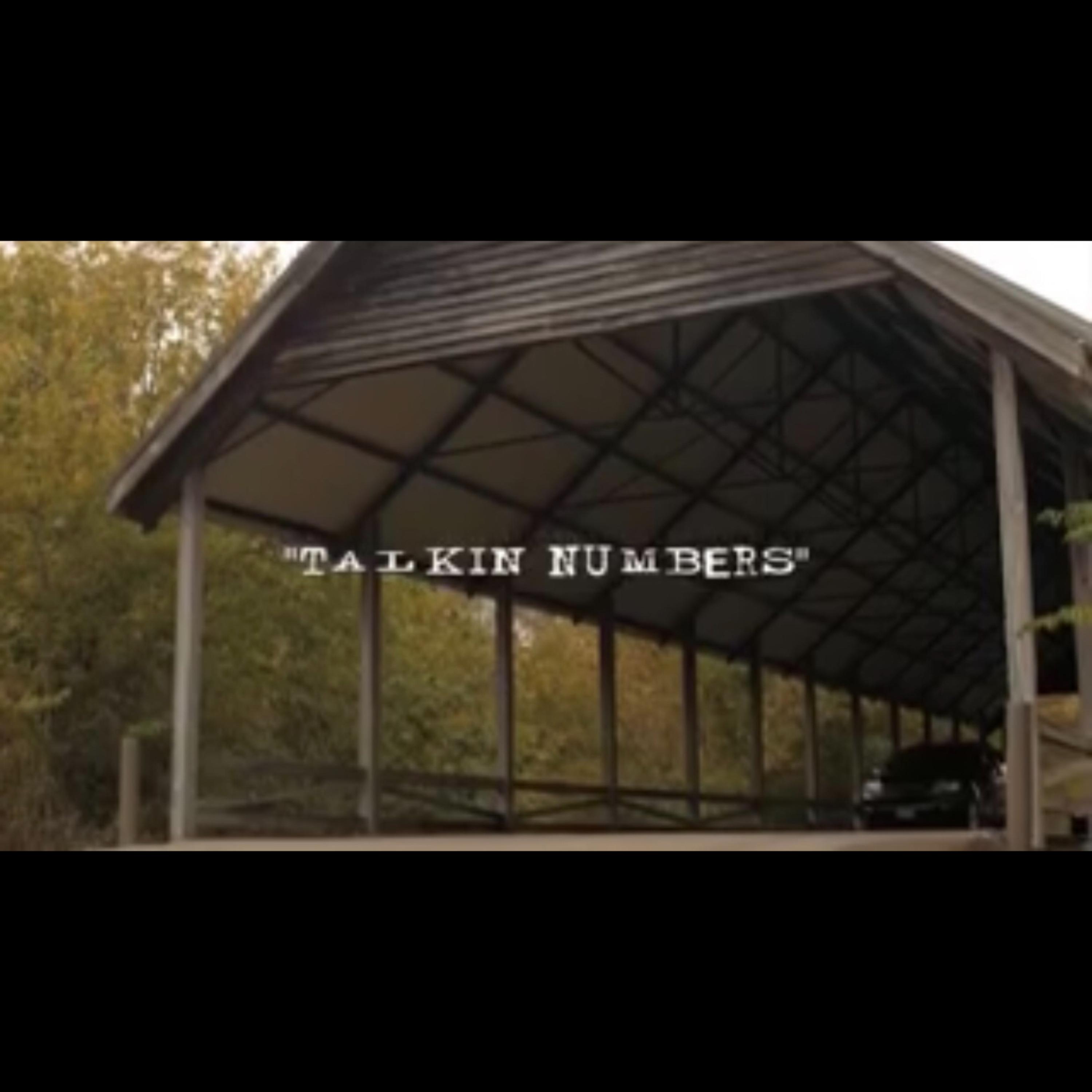 Talkin Numbers artwork