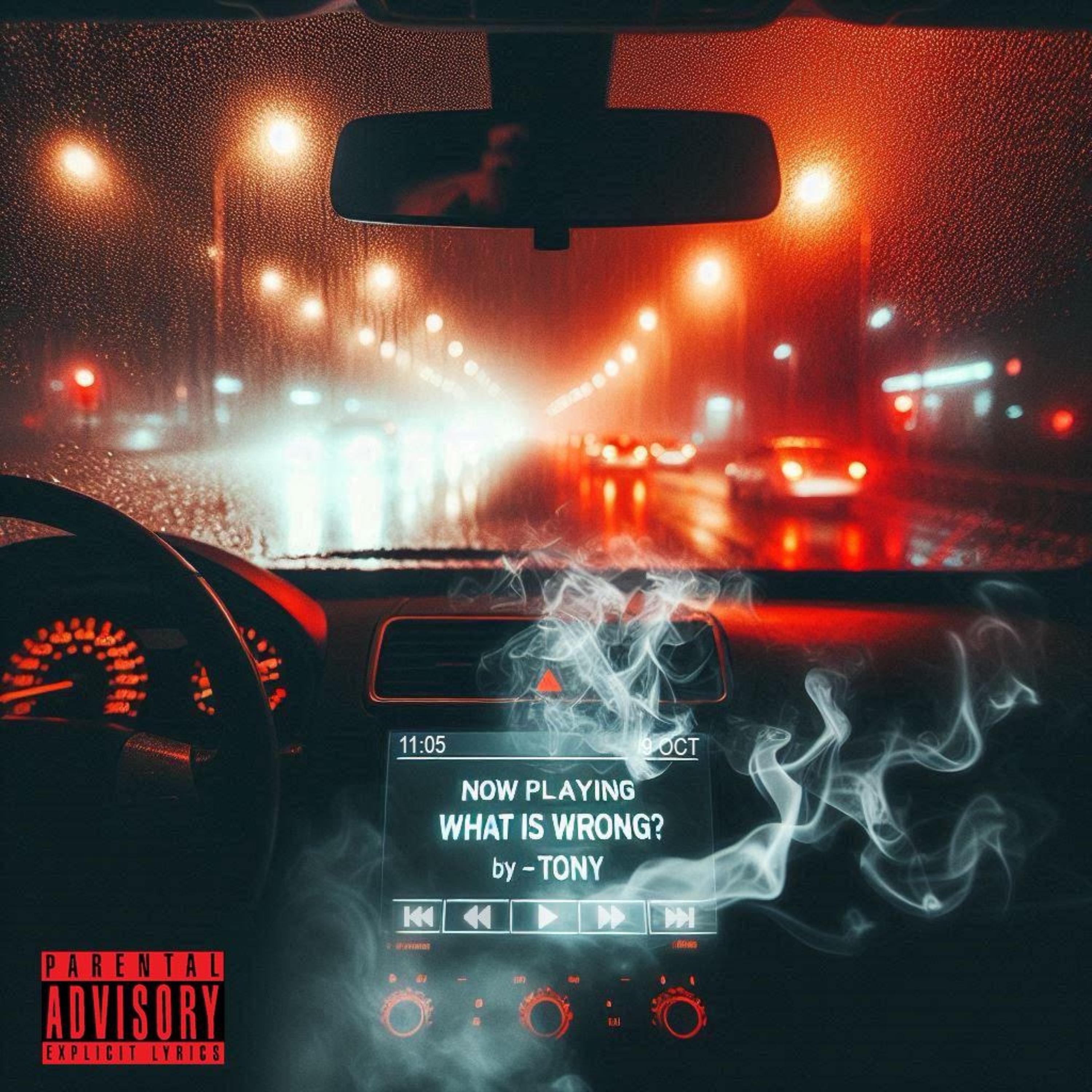 What Is Wrong? artwork