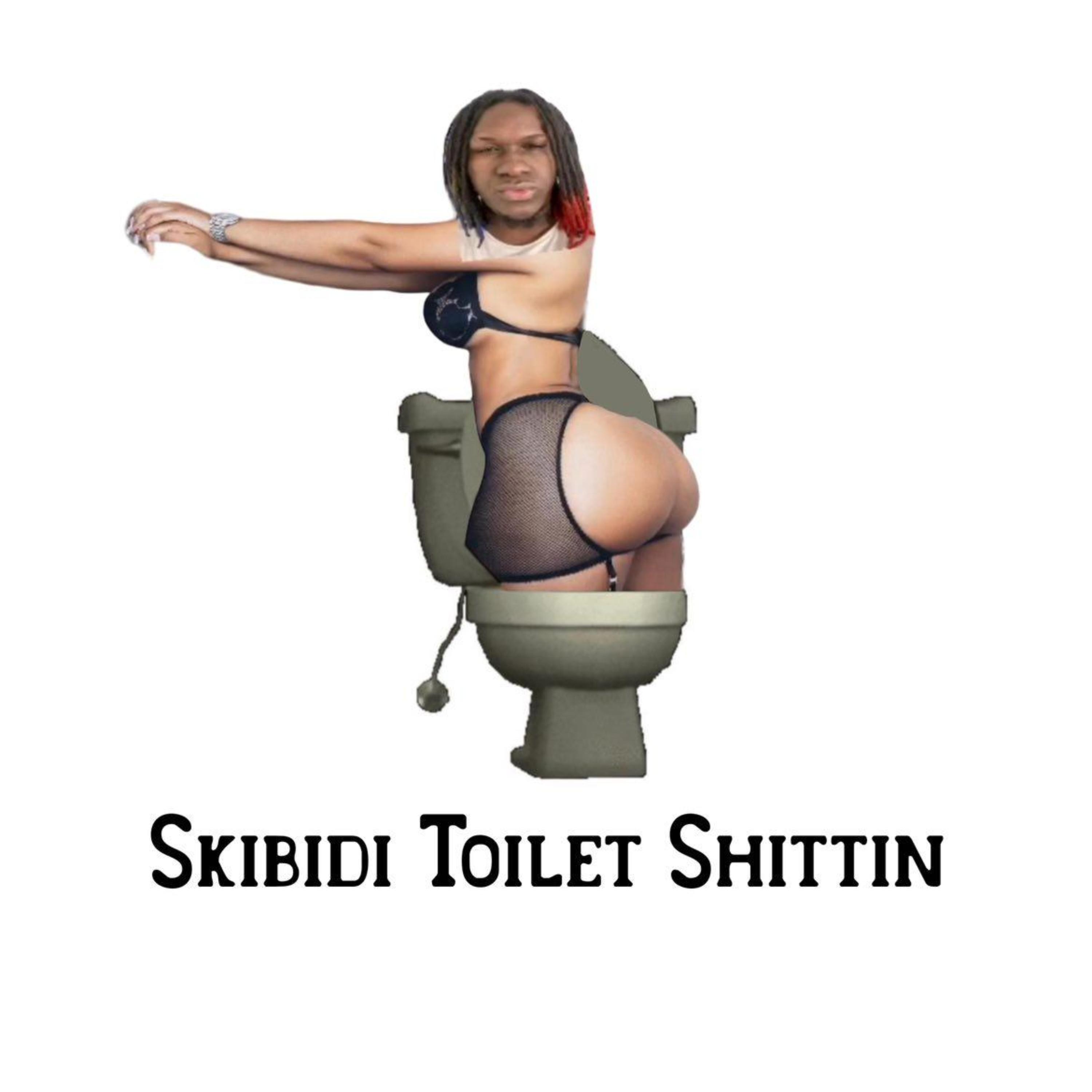 Skibidi Toilet Shittin artwork