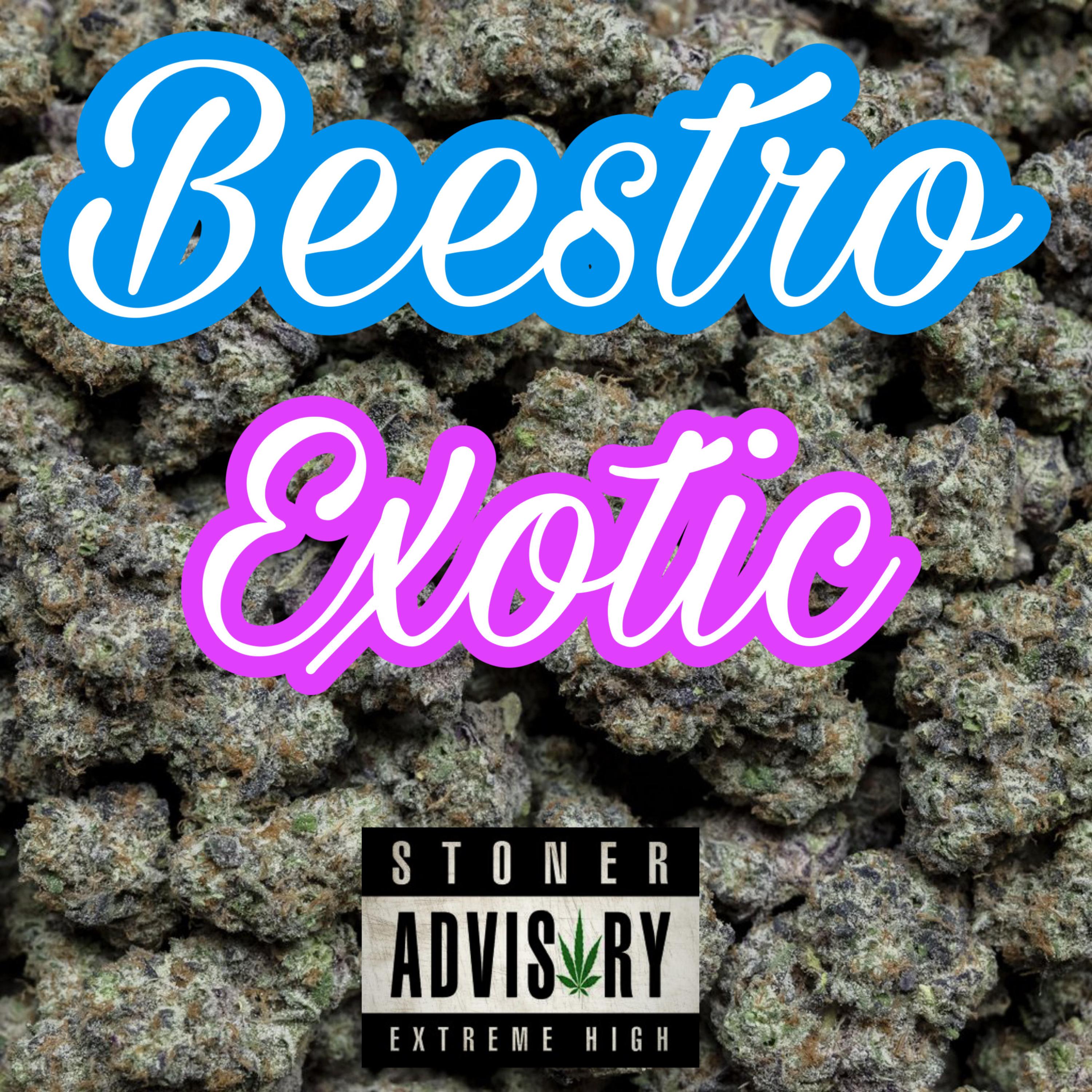 Exotic artwork