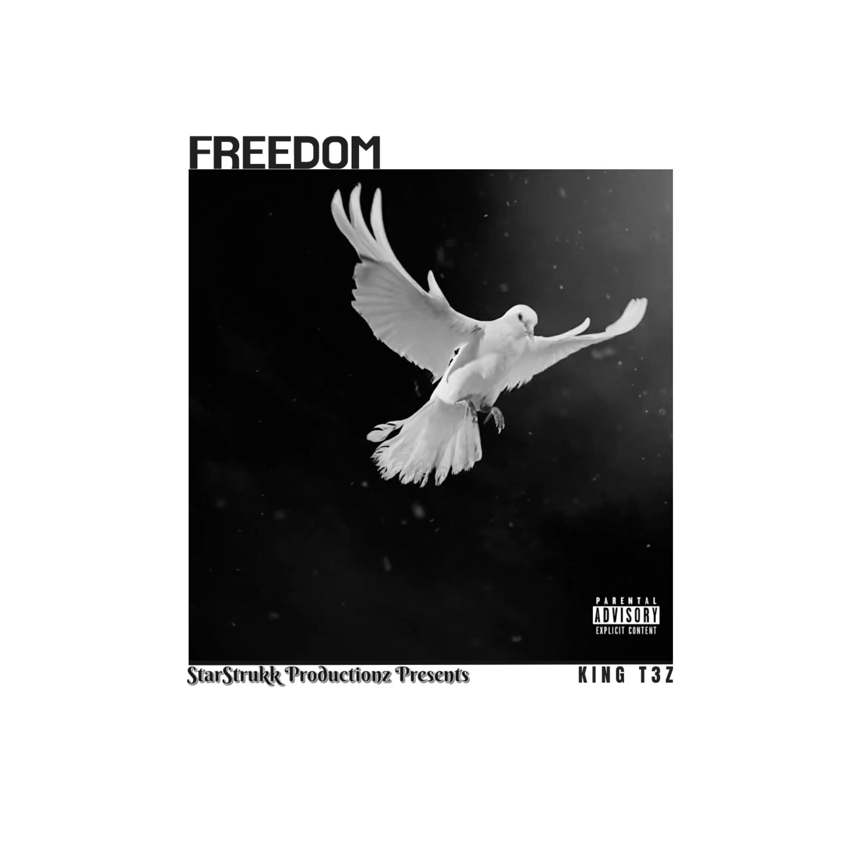 Freedom artwork