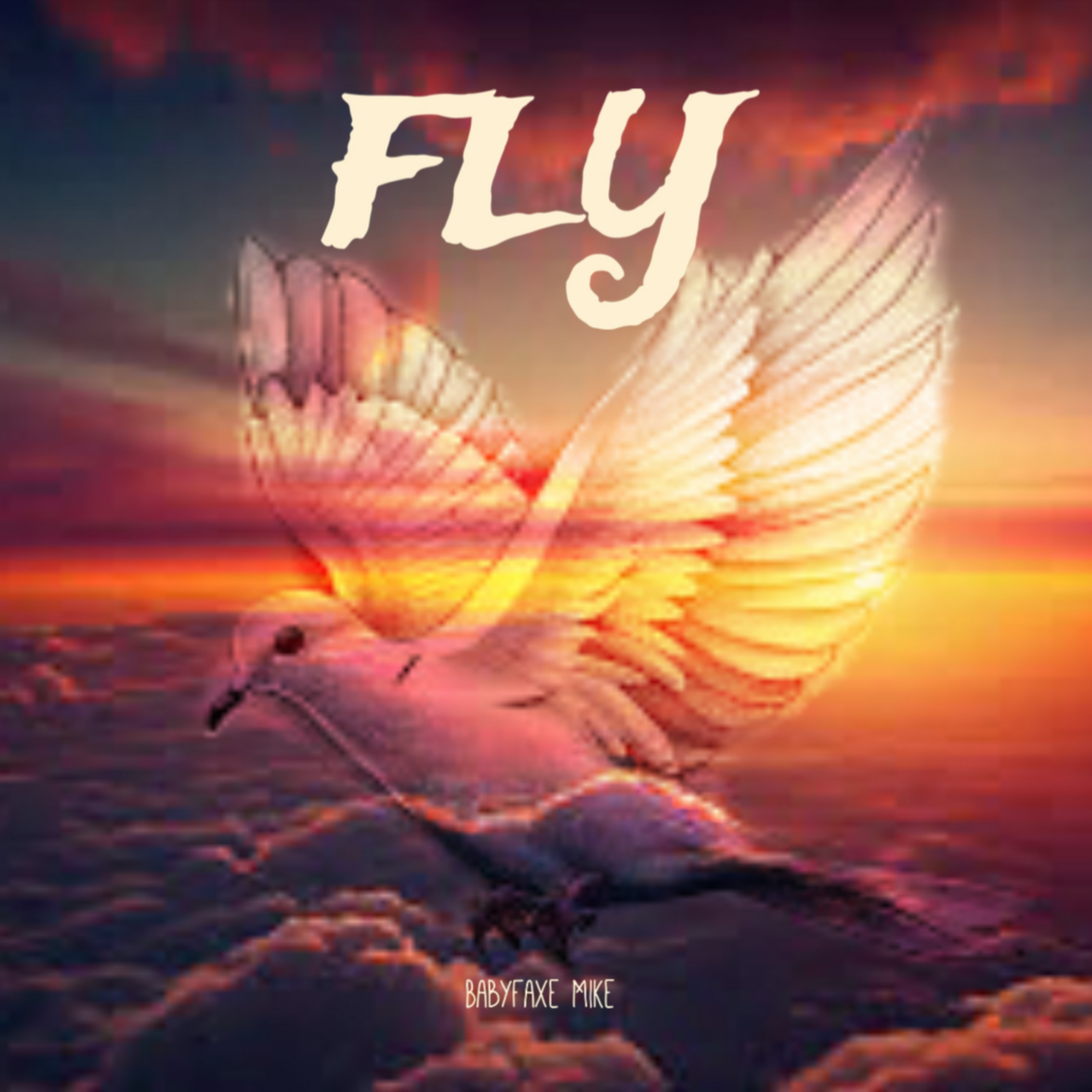 Fly artwork