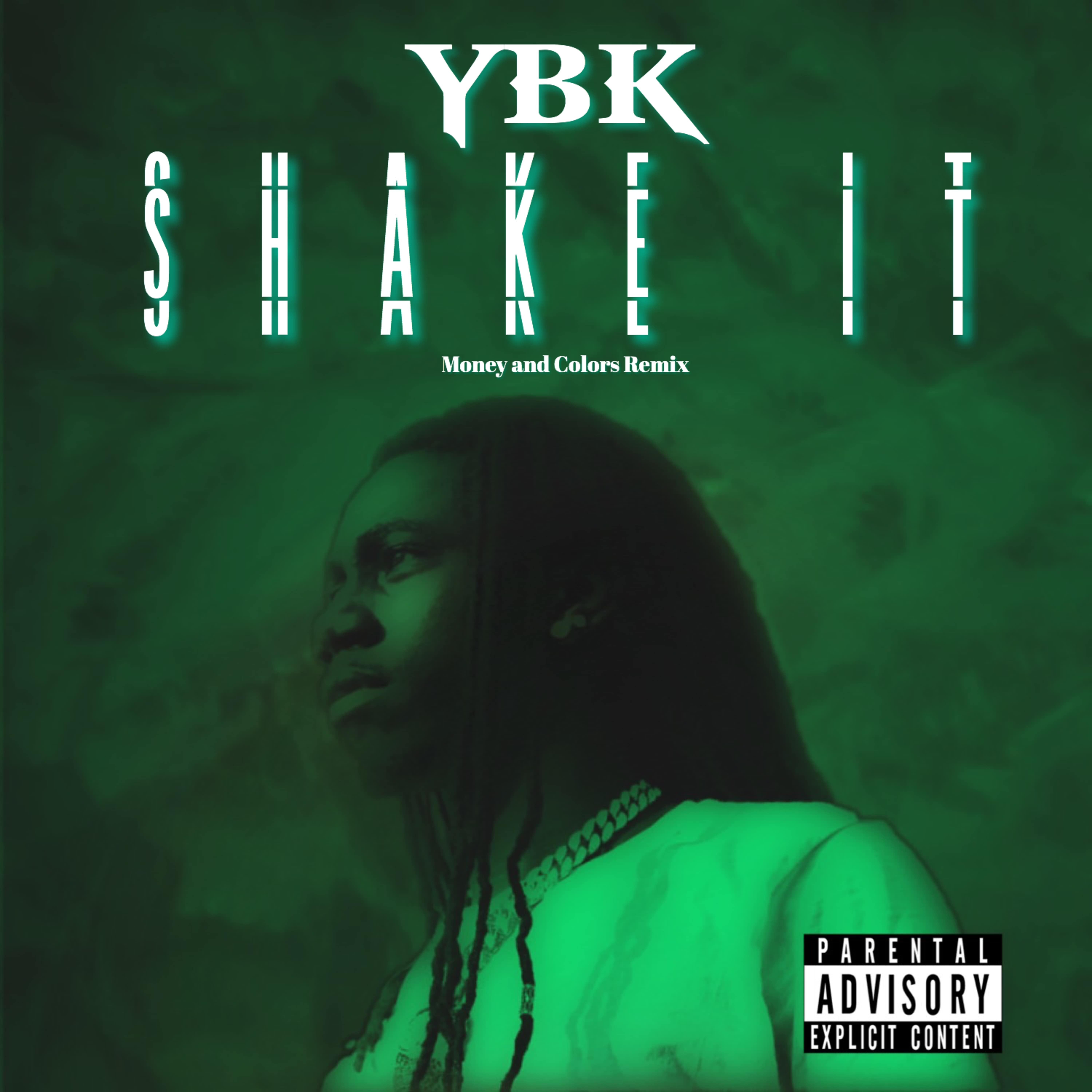 Shake It artwork