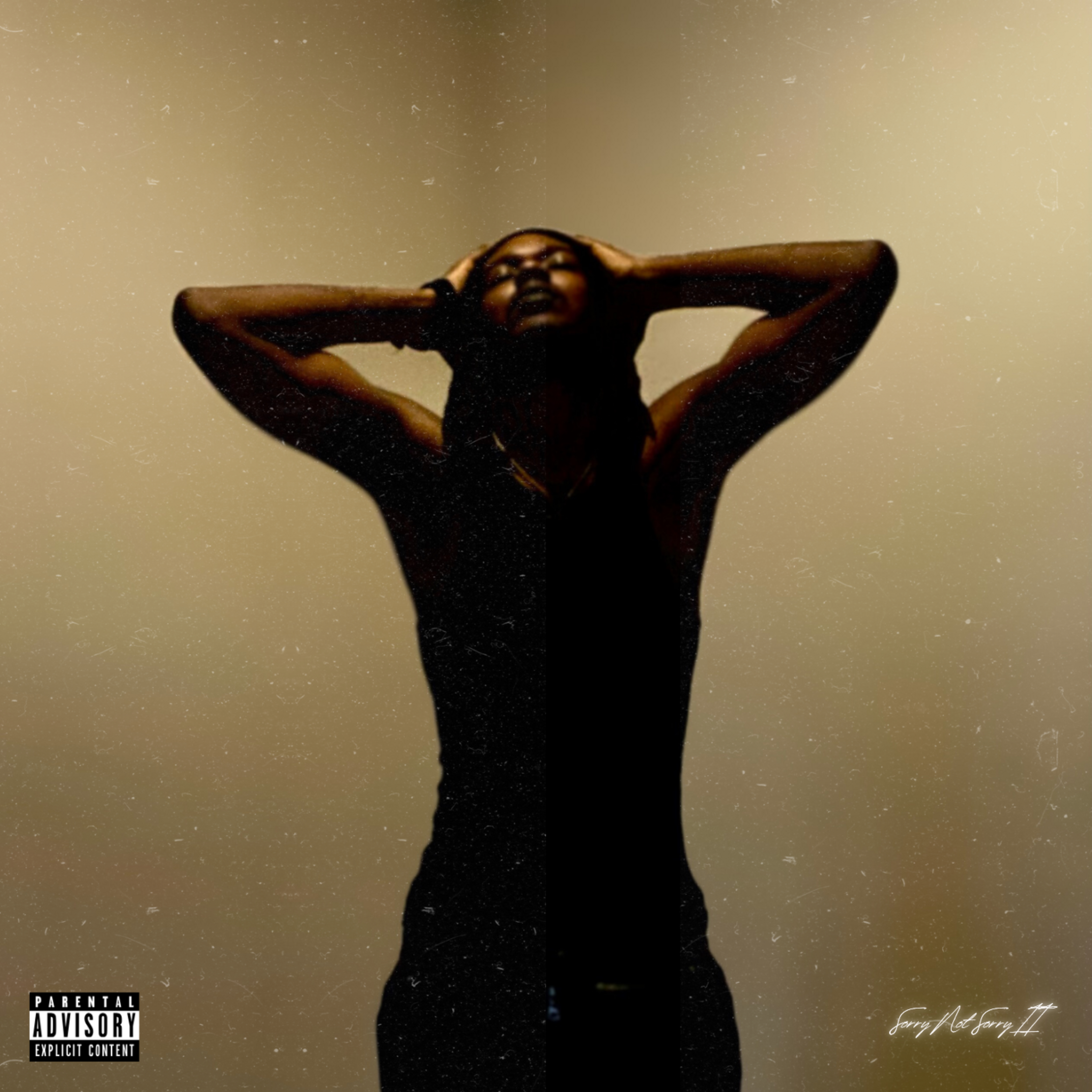 Sorry Not Sorry II artwork