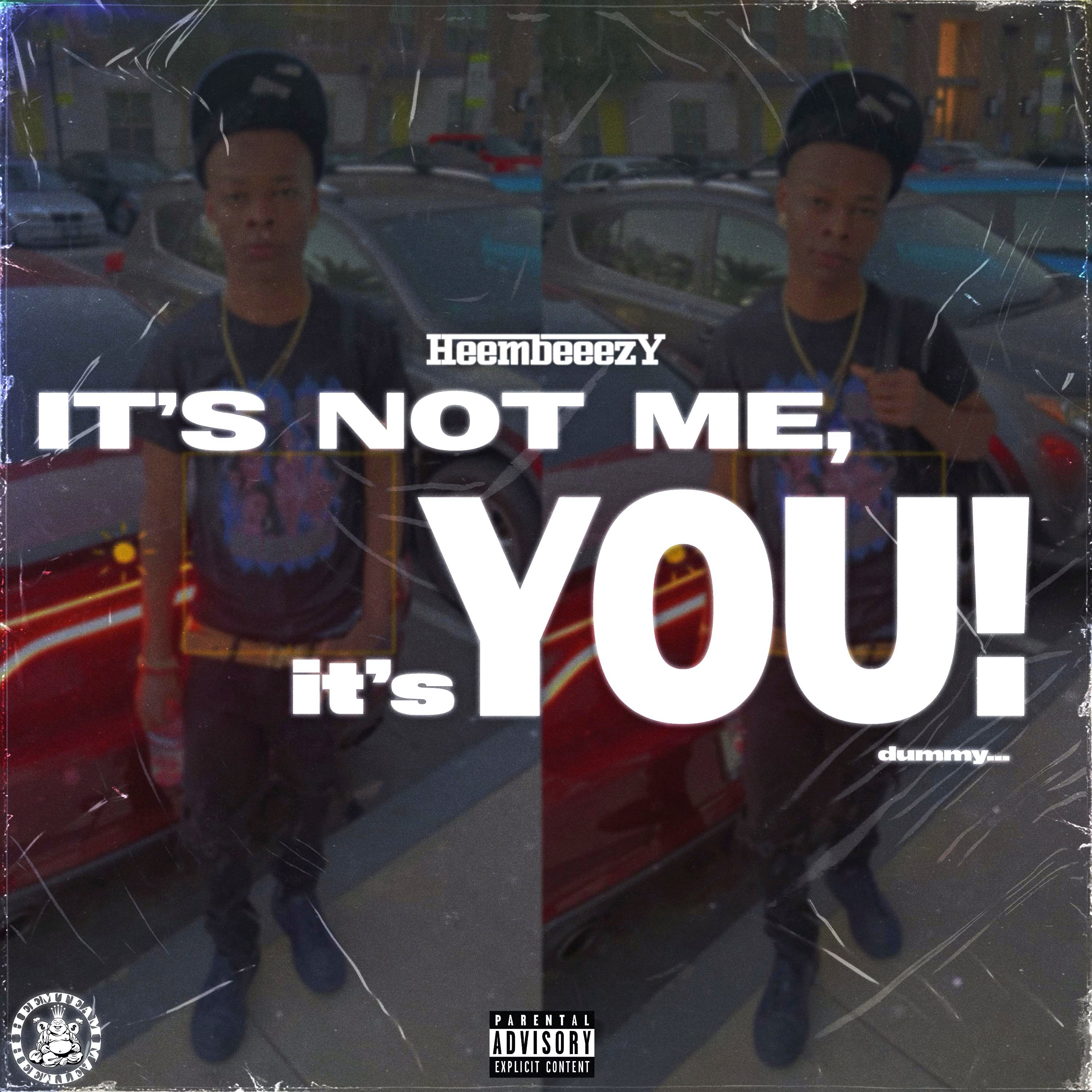 It's Not Me, It's You artwork