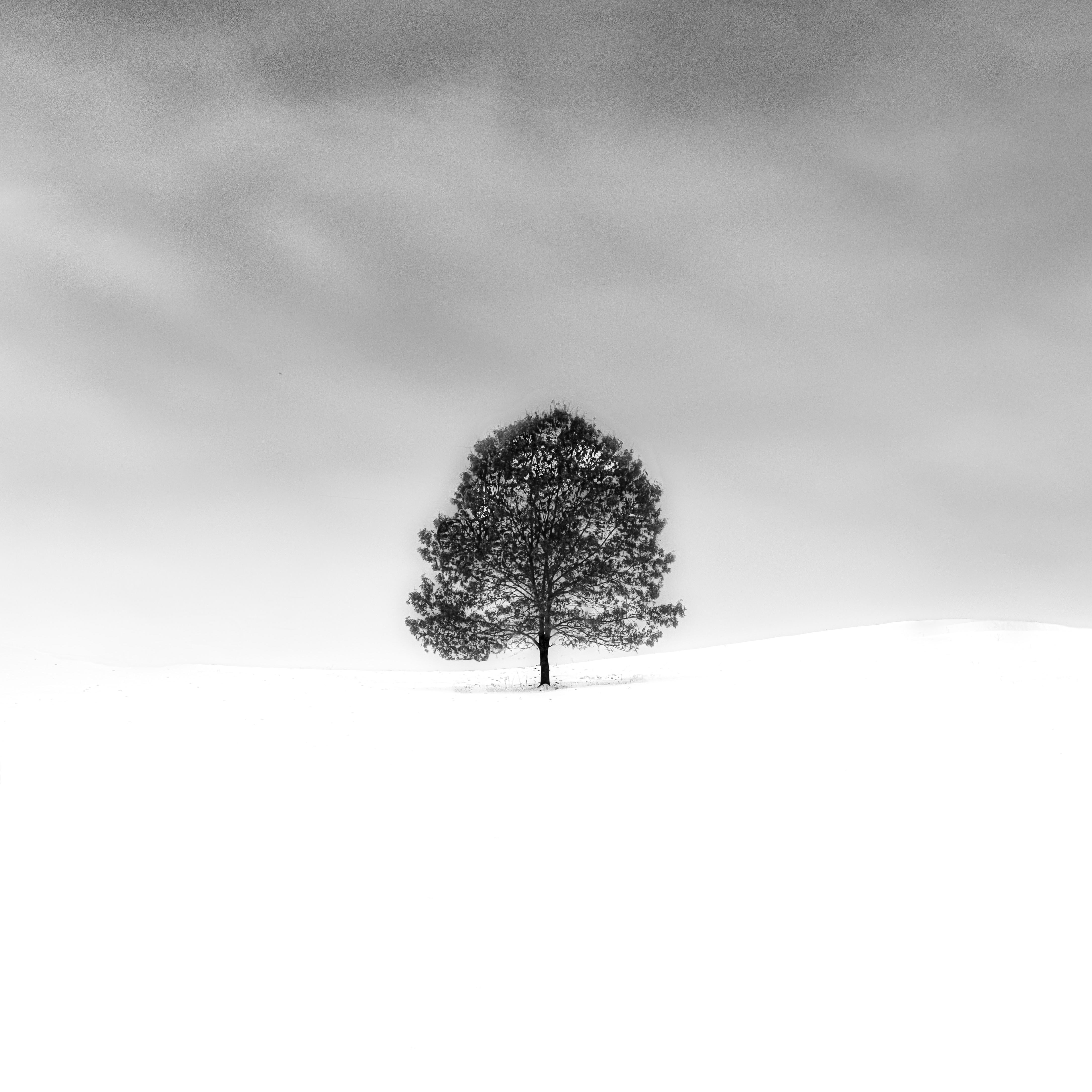 overhype freestyle artwork