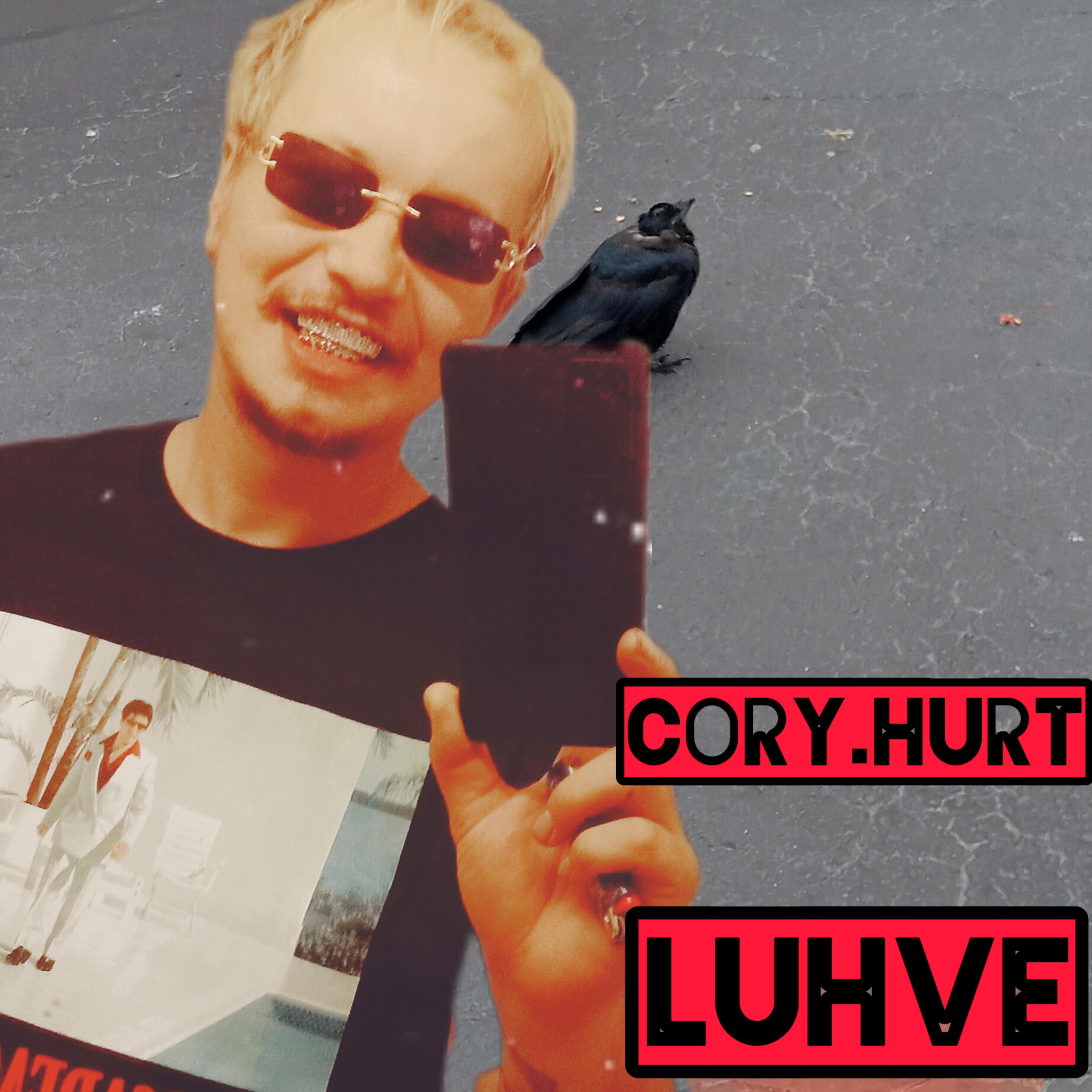 luhve artwork