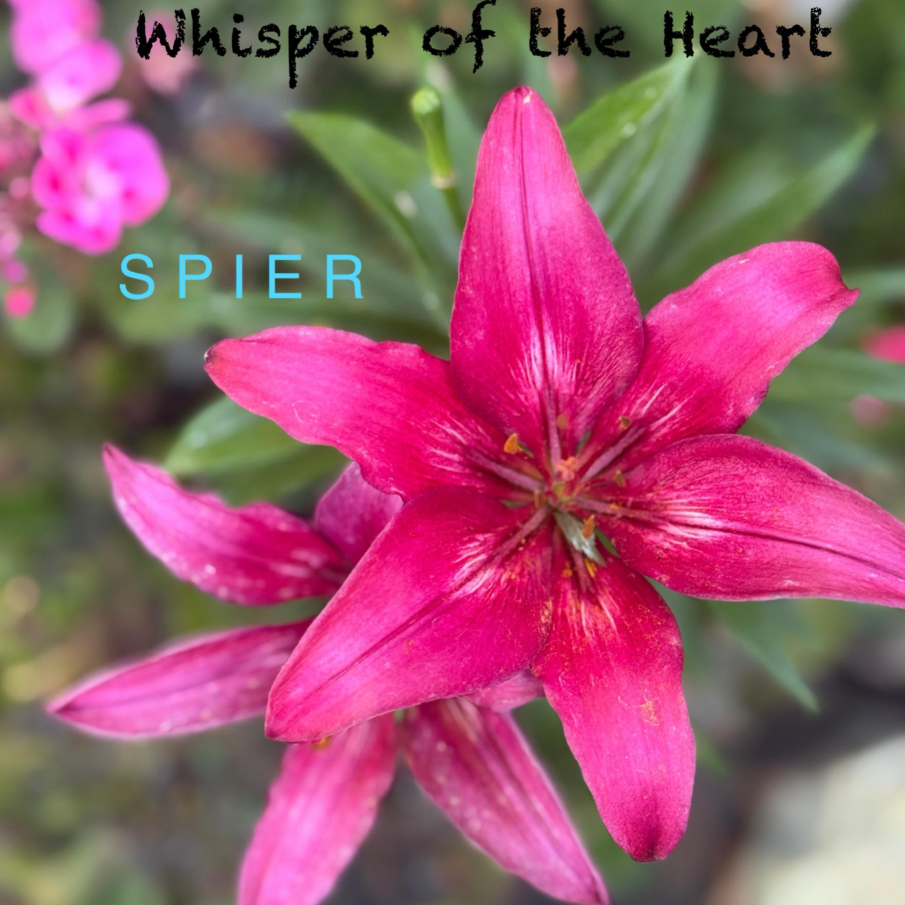 Whisper Of The Heart artwork