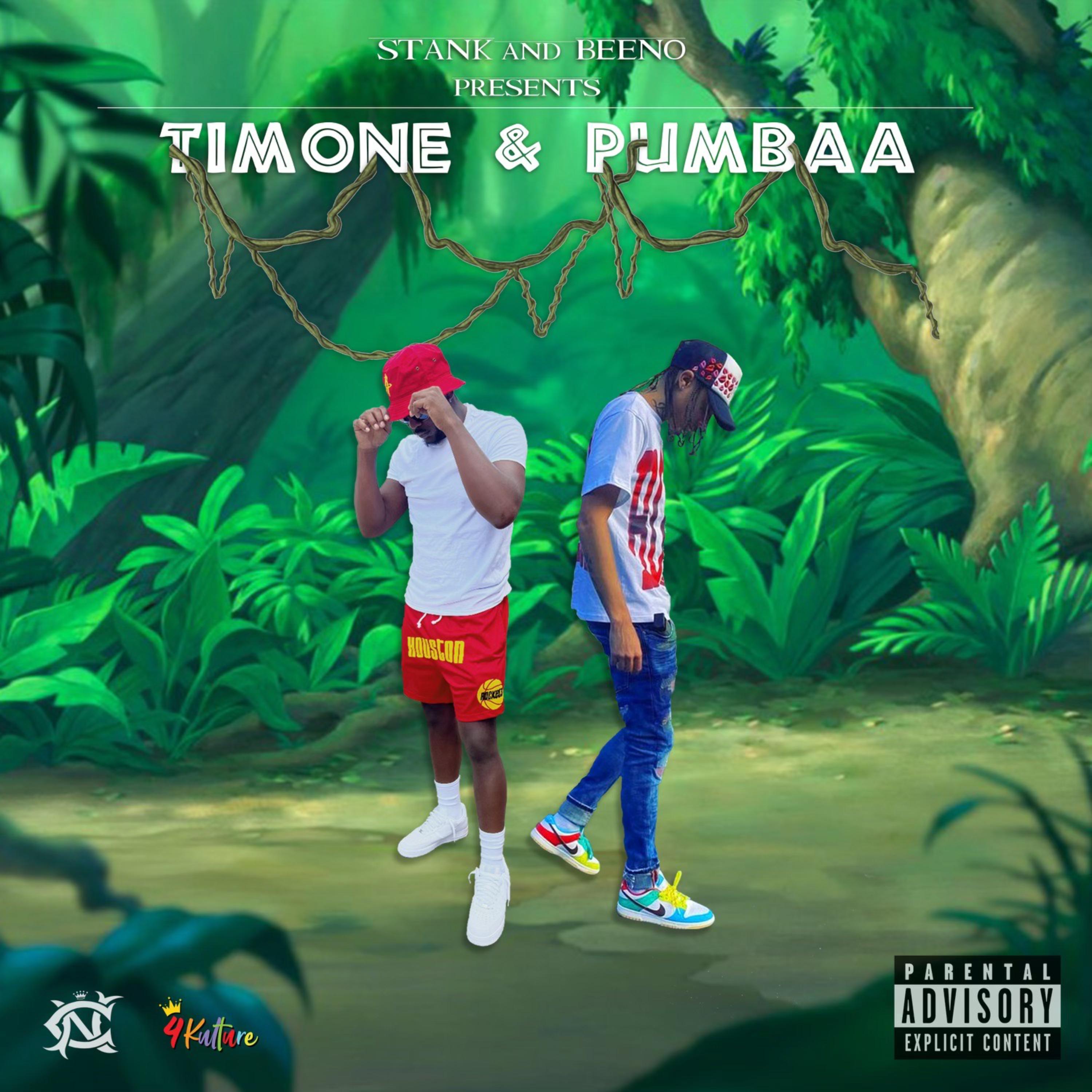 Timon & Pumbaa artwork