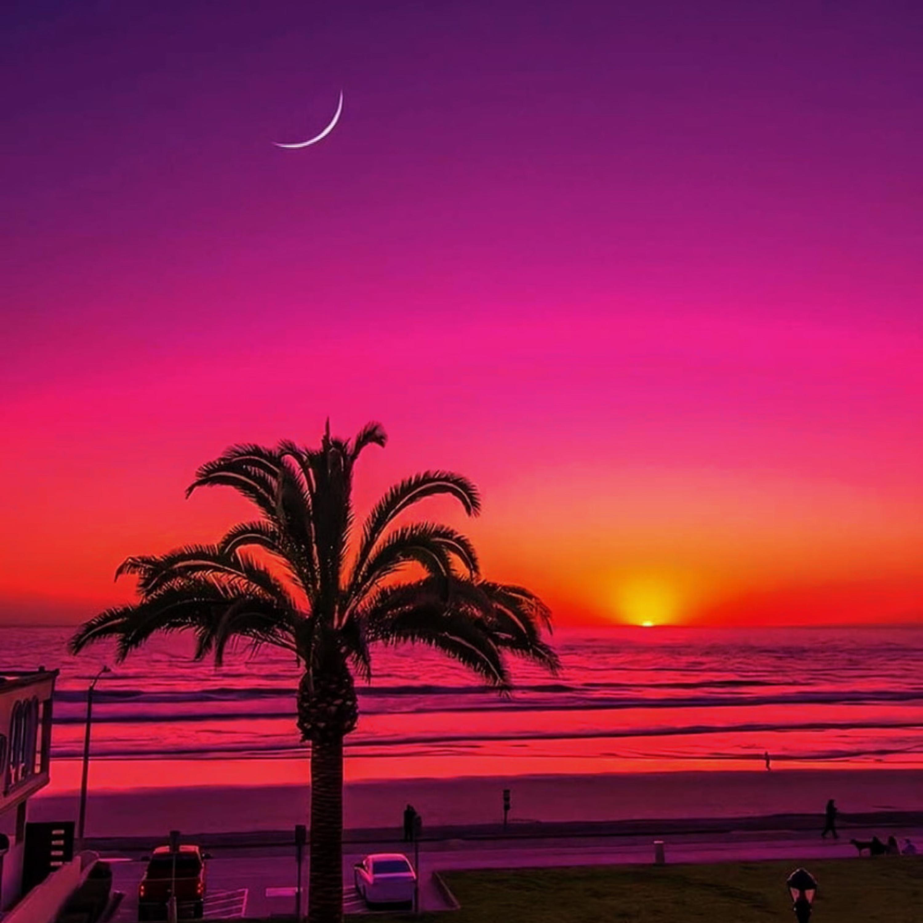 Cali Dreaming artwork