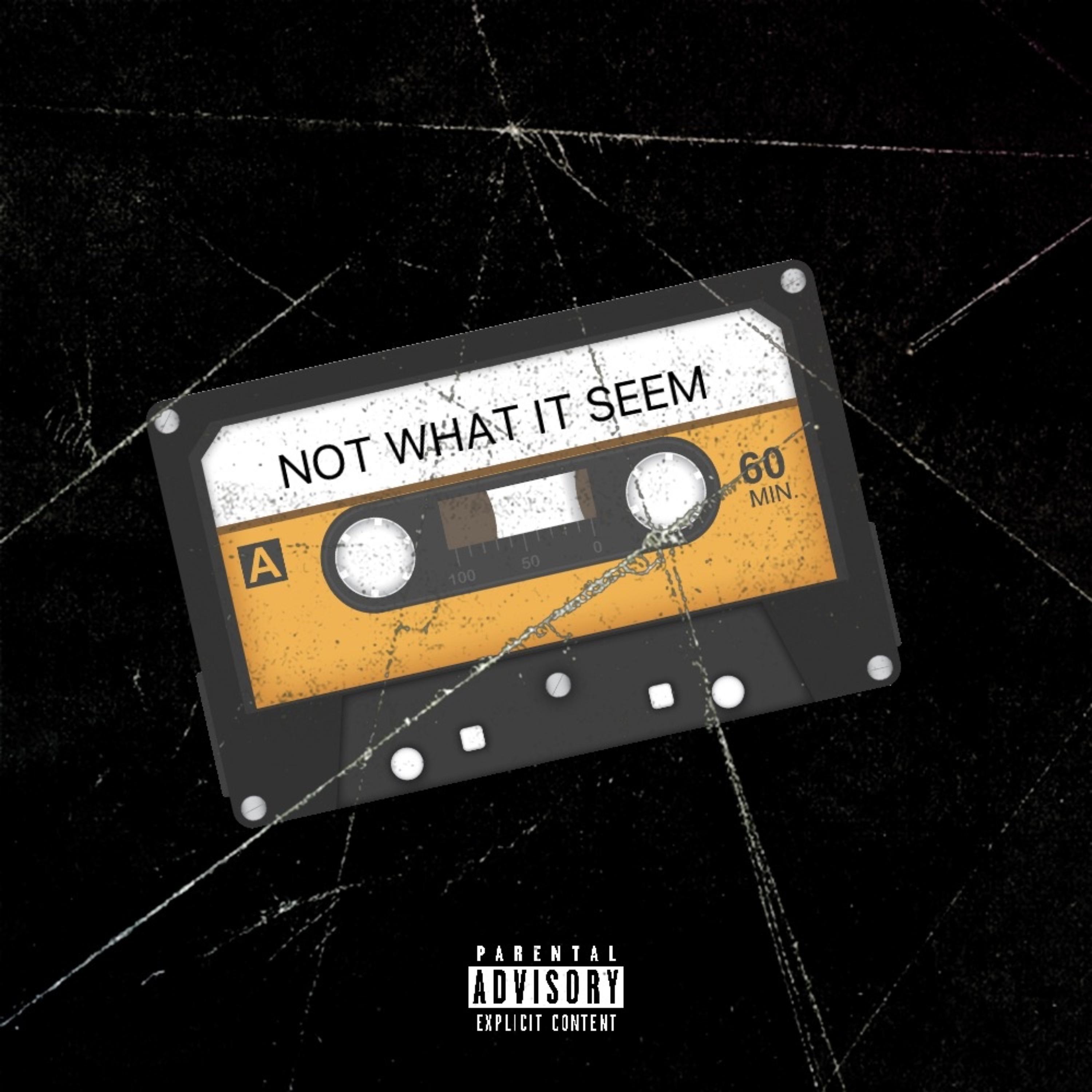 NOT WHAT IT SEEM artwork