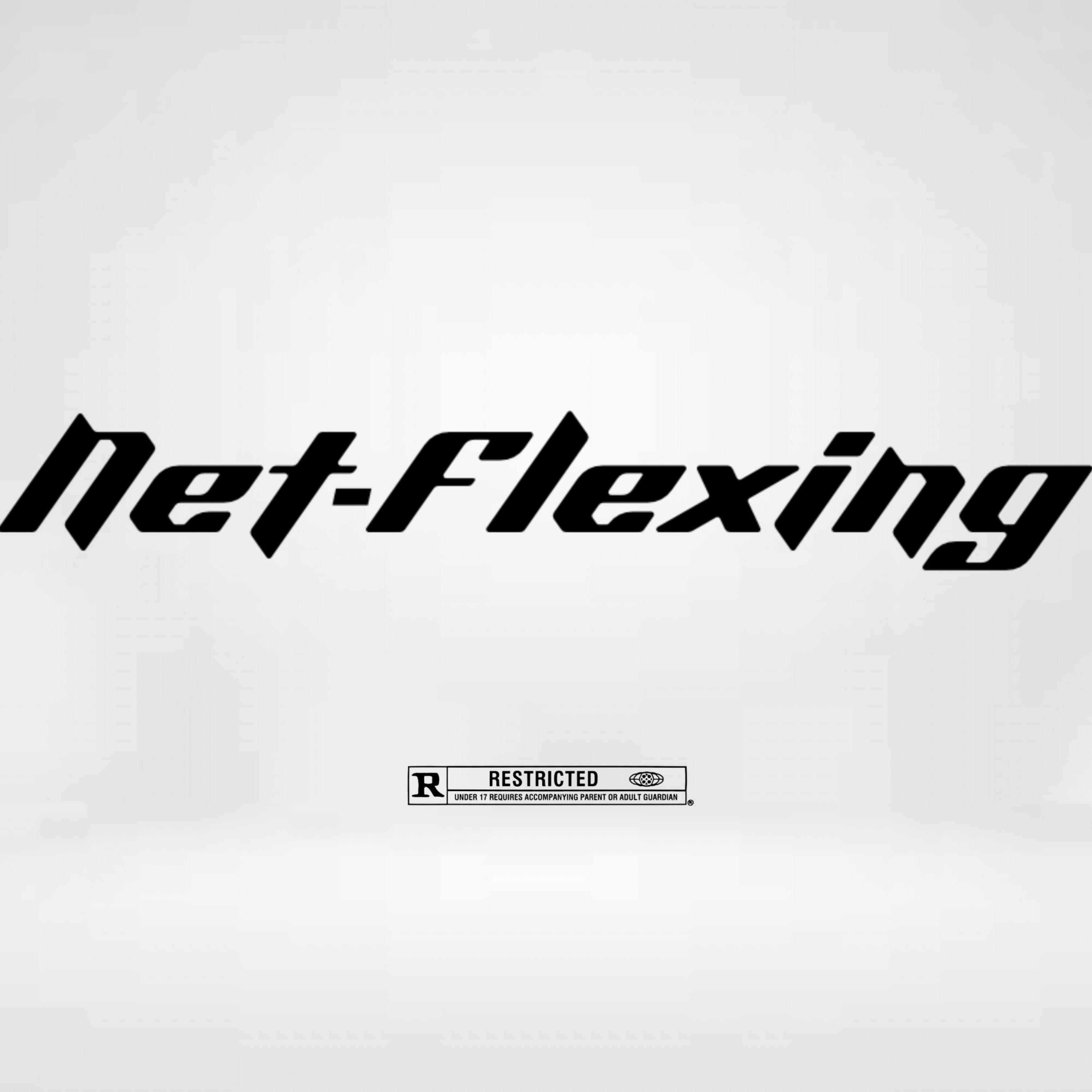 Net-Flexing by JBridge810 cover art