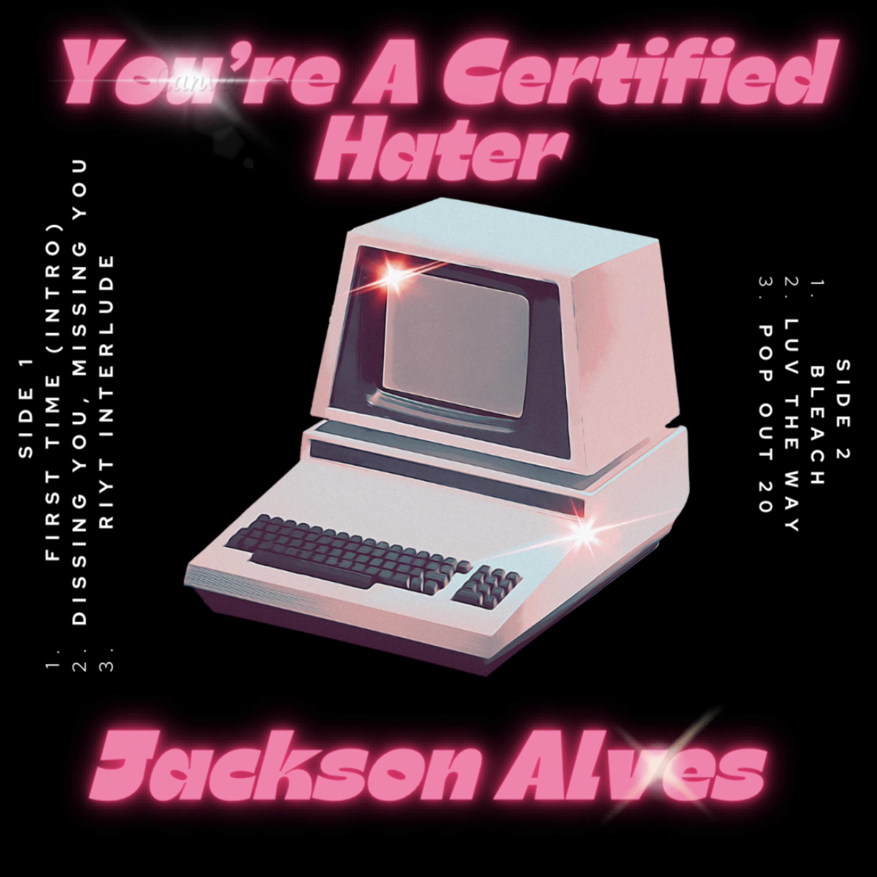 You're A Certified Hater artwork