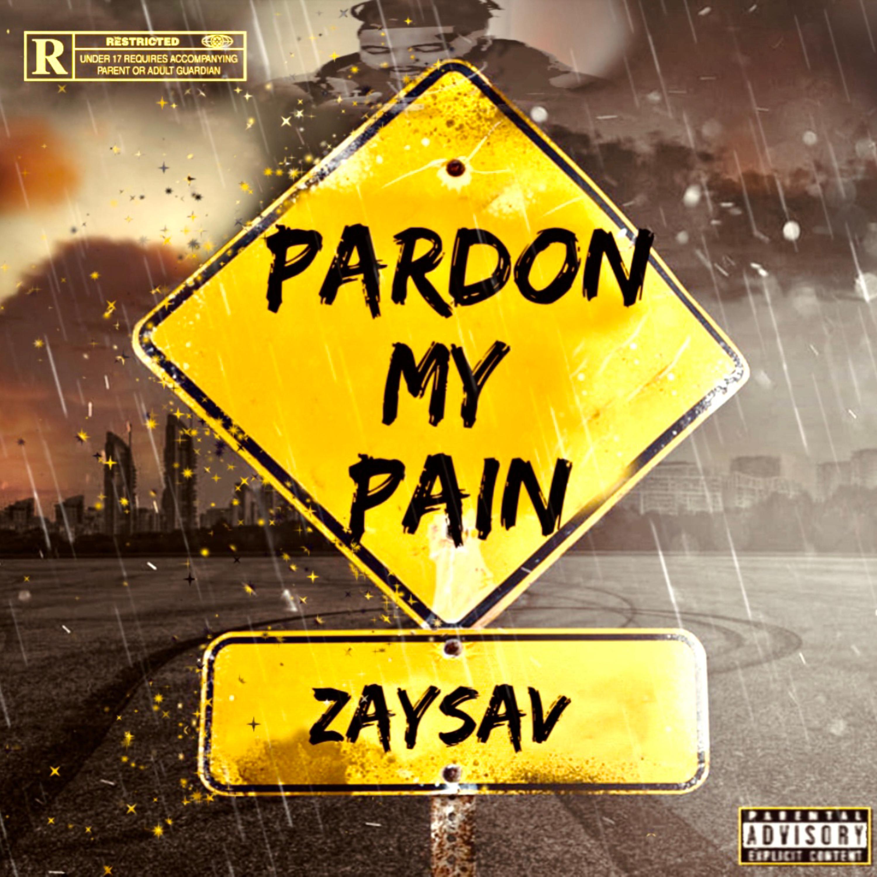 PARDON MY PAIN by ZaySav cover art