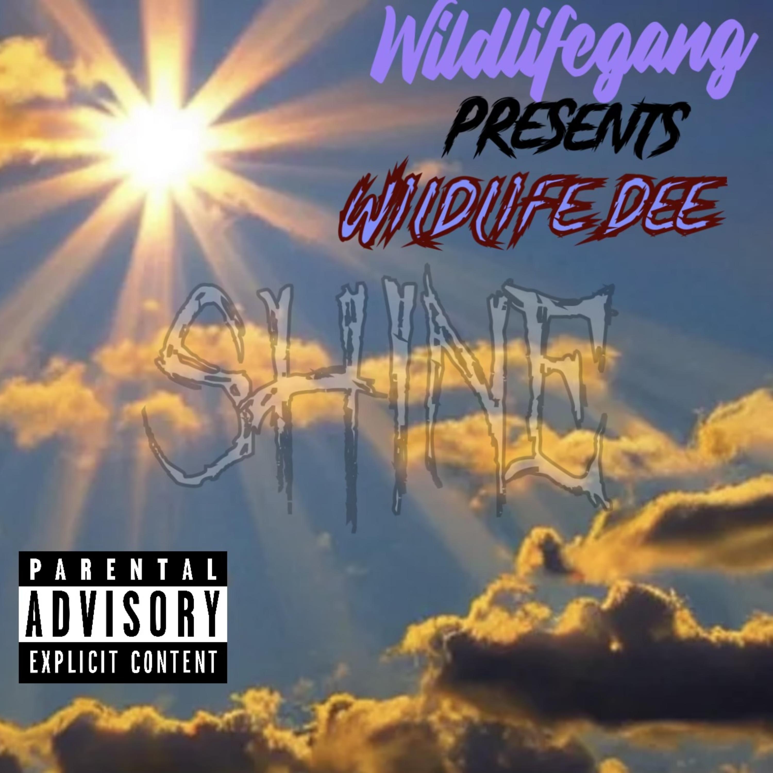 Shine by Wildlife Dee cover art