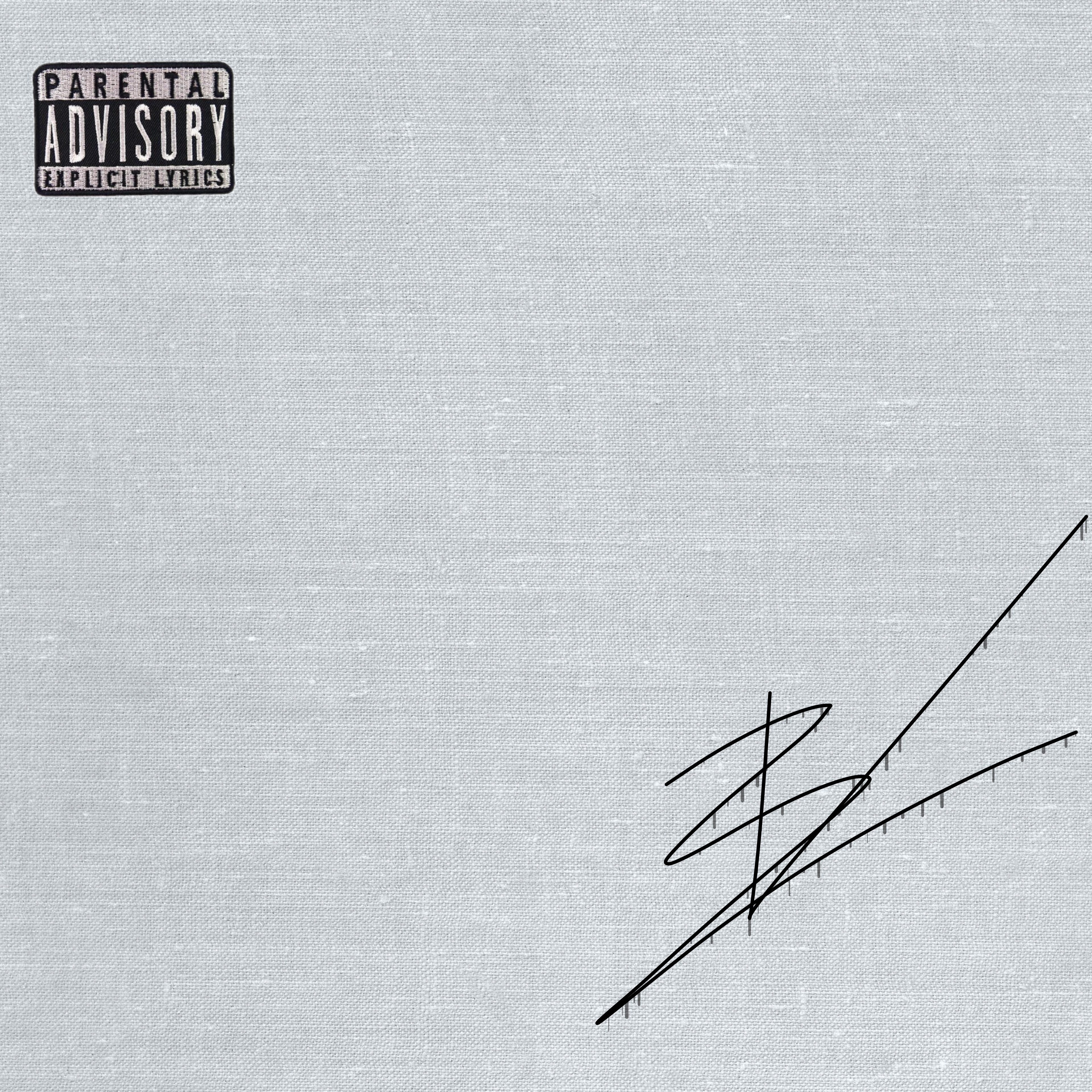 Z.V artwork