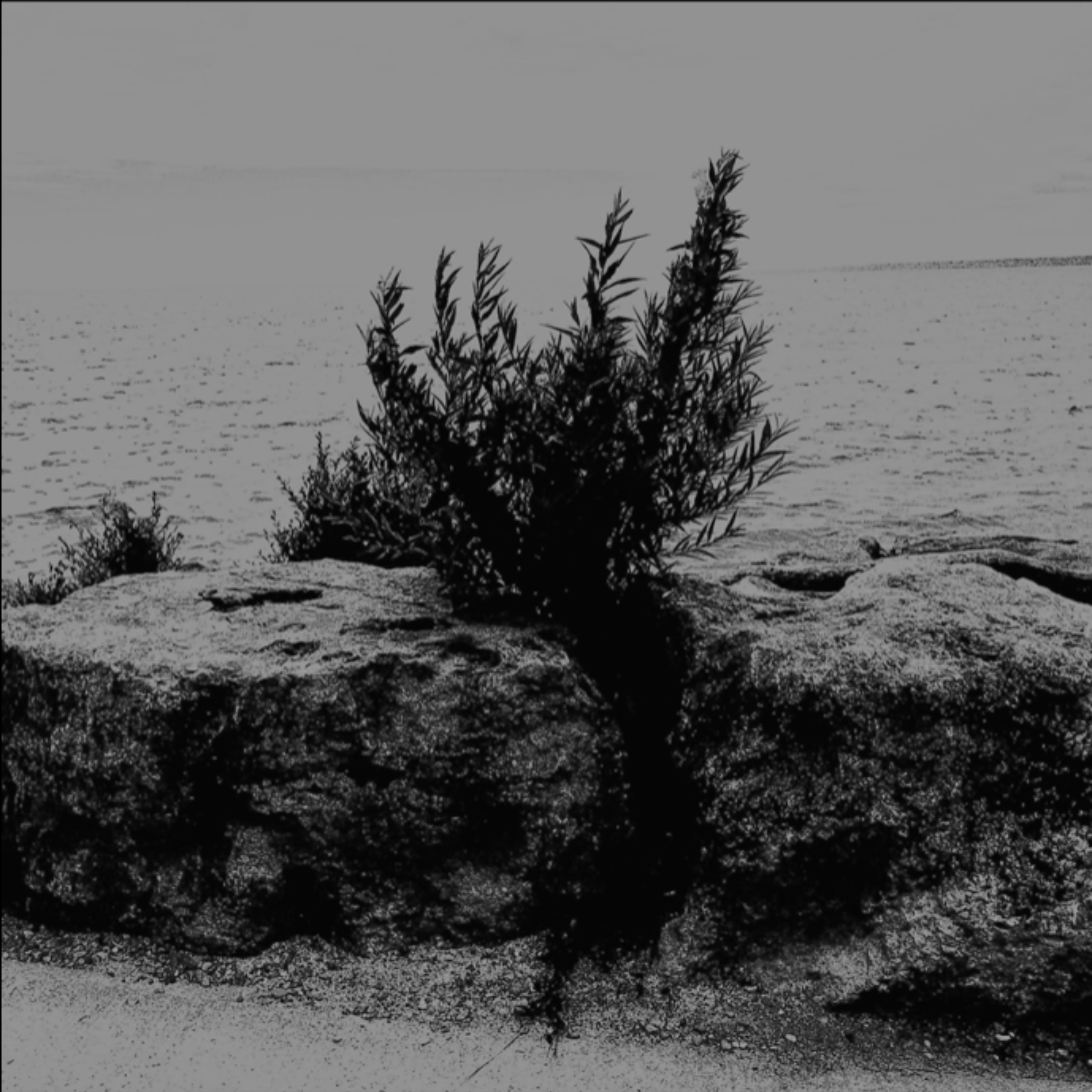 THE EPIPHANY artwork