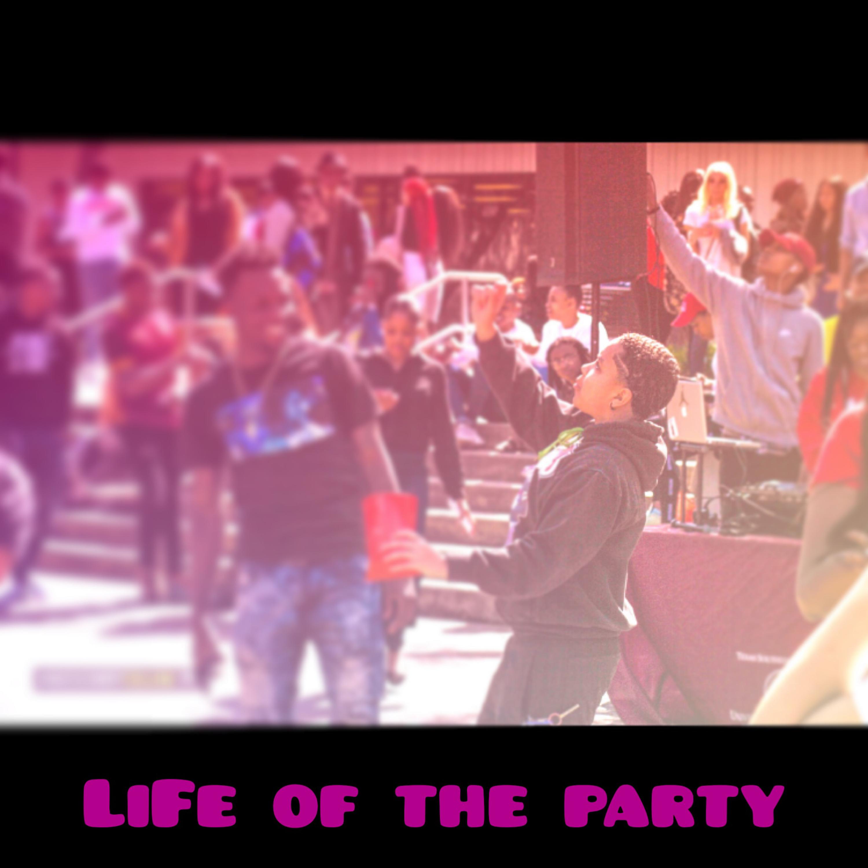 Life of The Party artwork