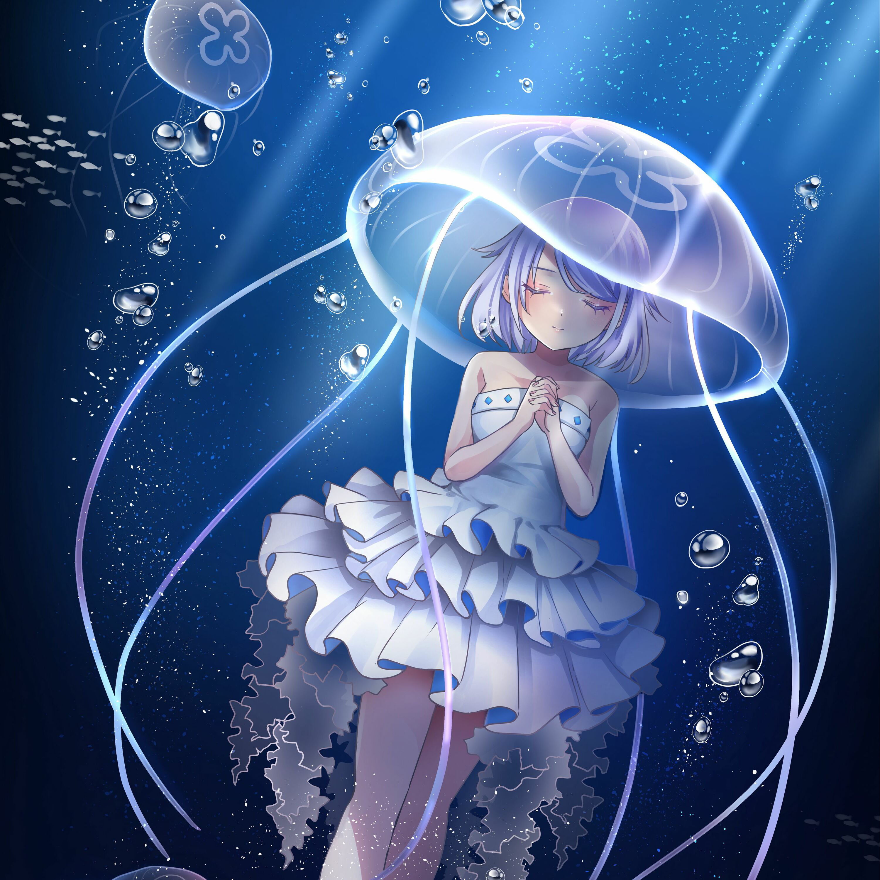 JELLYFISH artwork