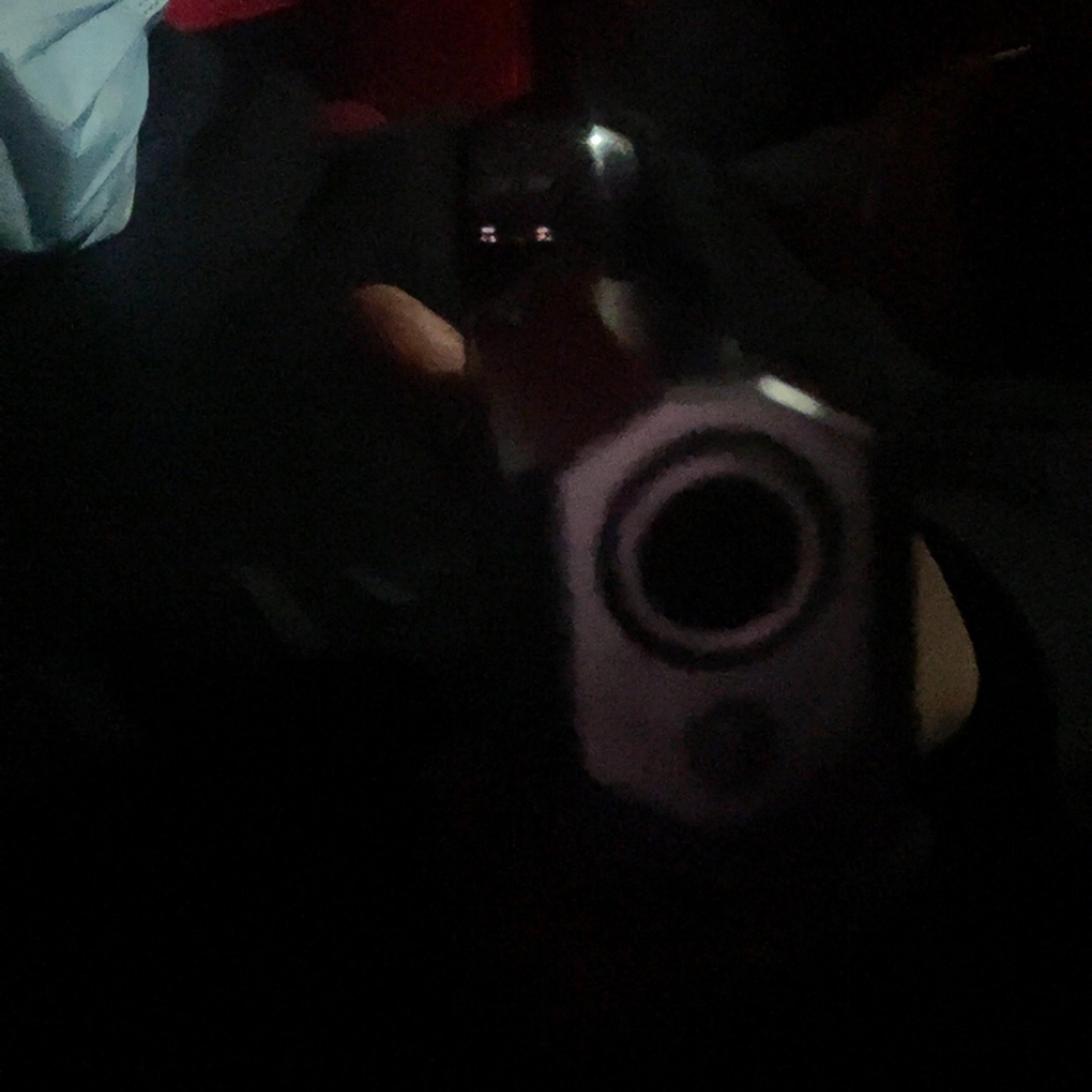 aint sharkin shxt artwork