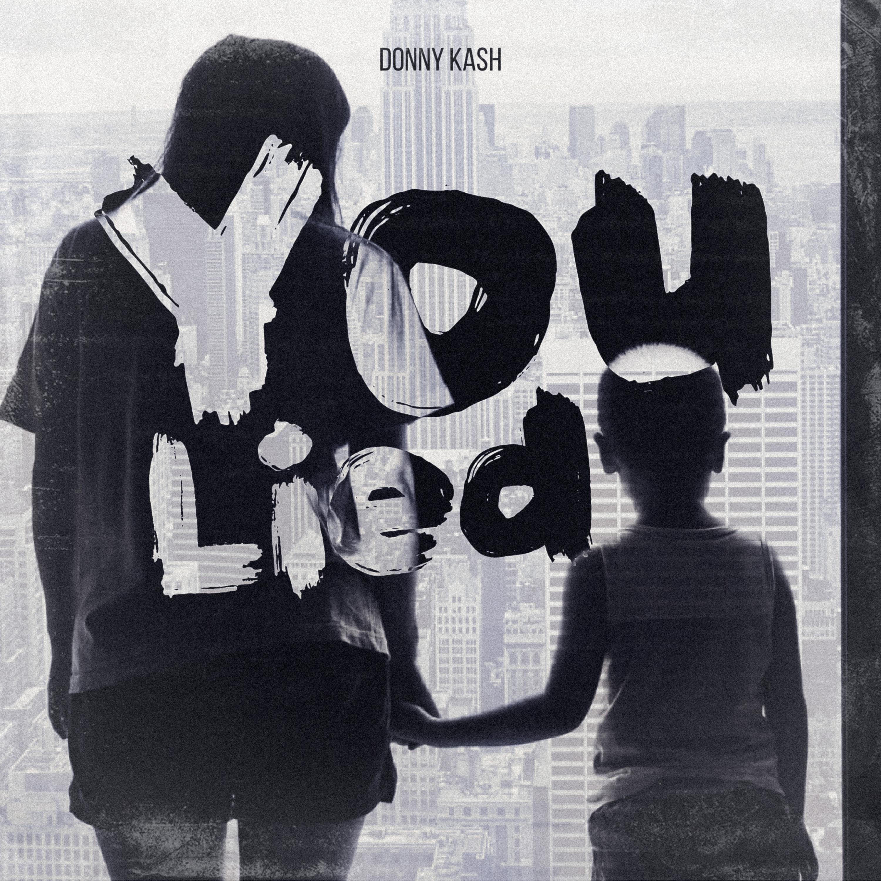 You Lied artwork