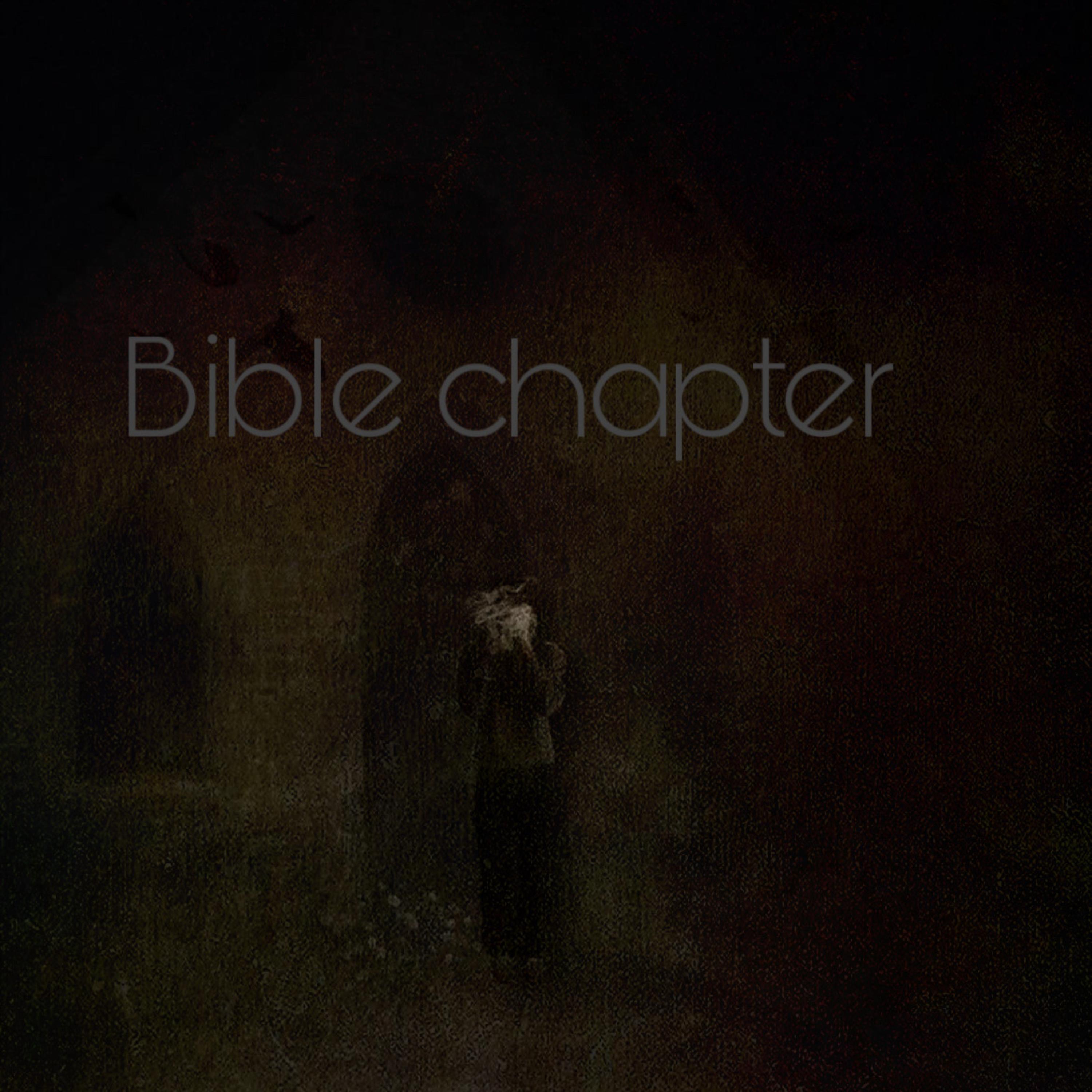 Bible Chapter artwork