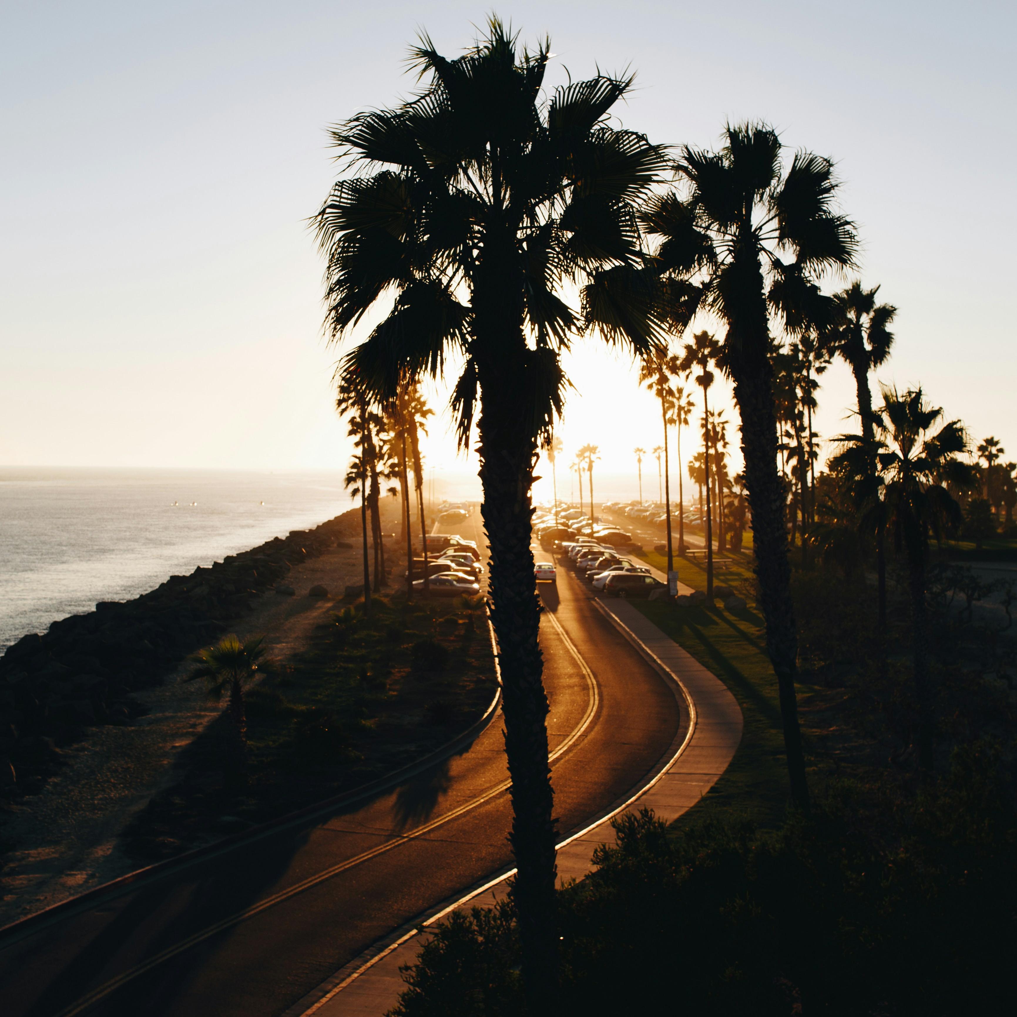 Cali Rhythm artwork