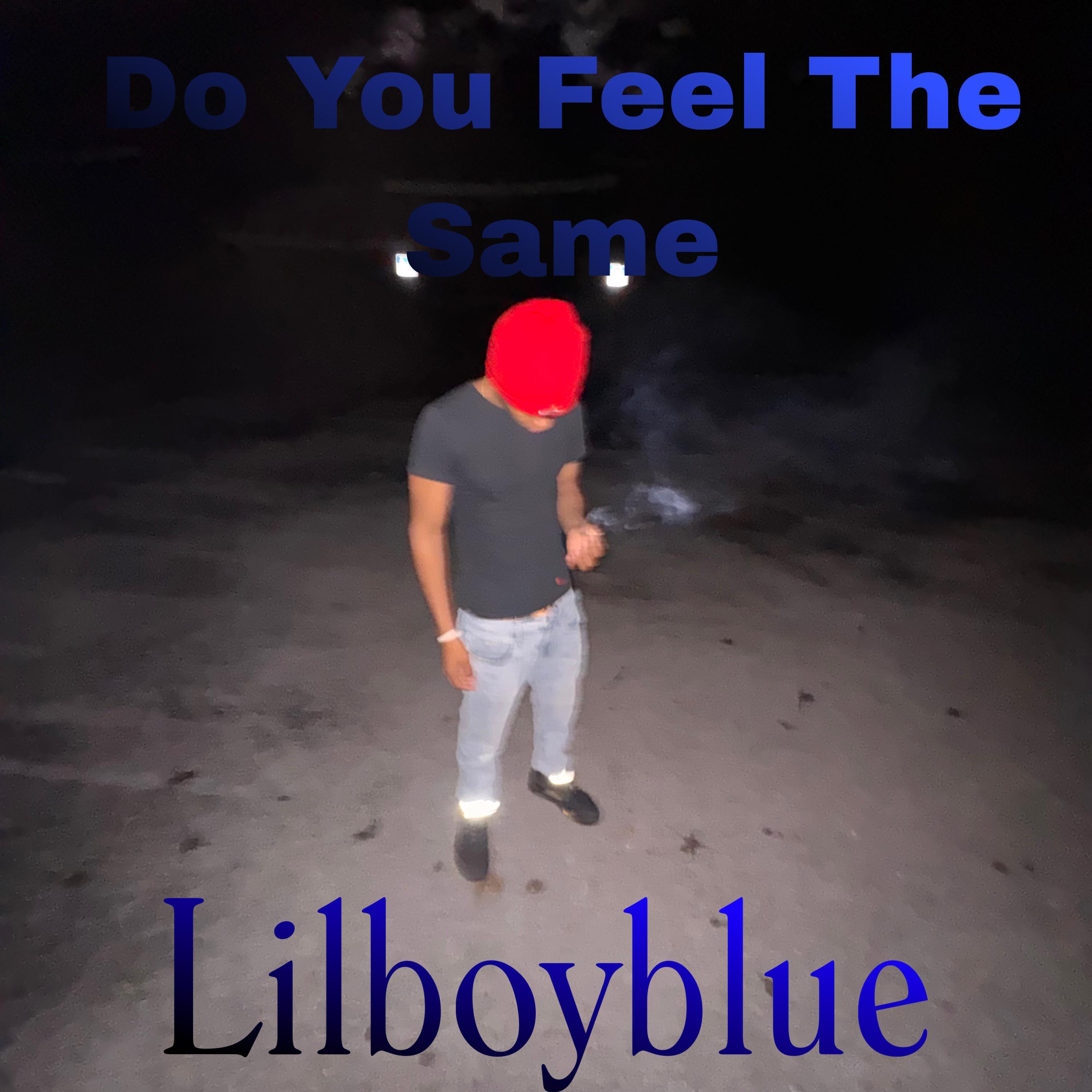 Do You Feel The Same artwork