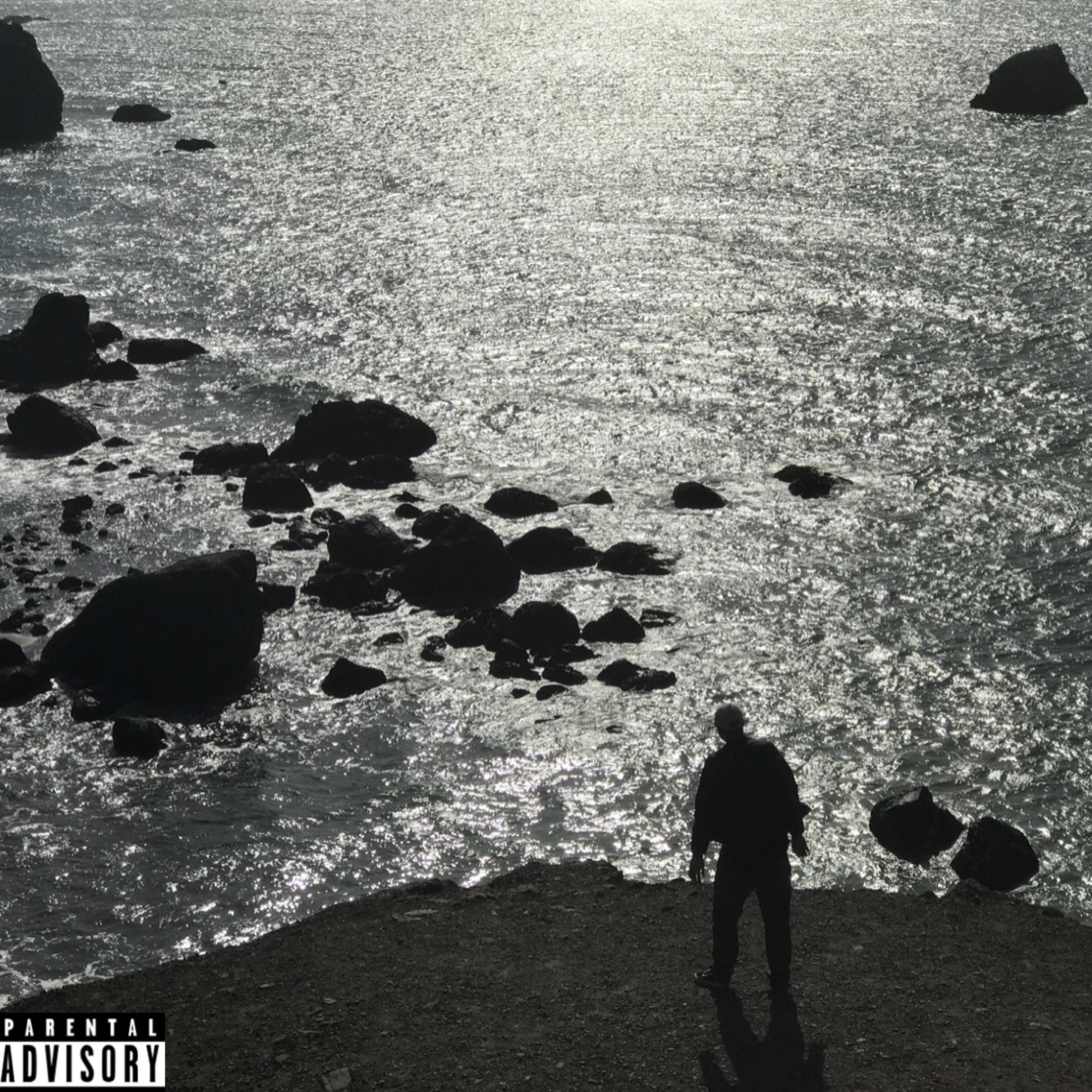 Never In A Milian Years artwork