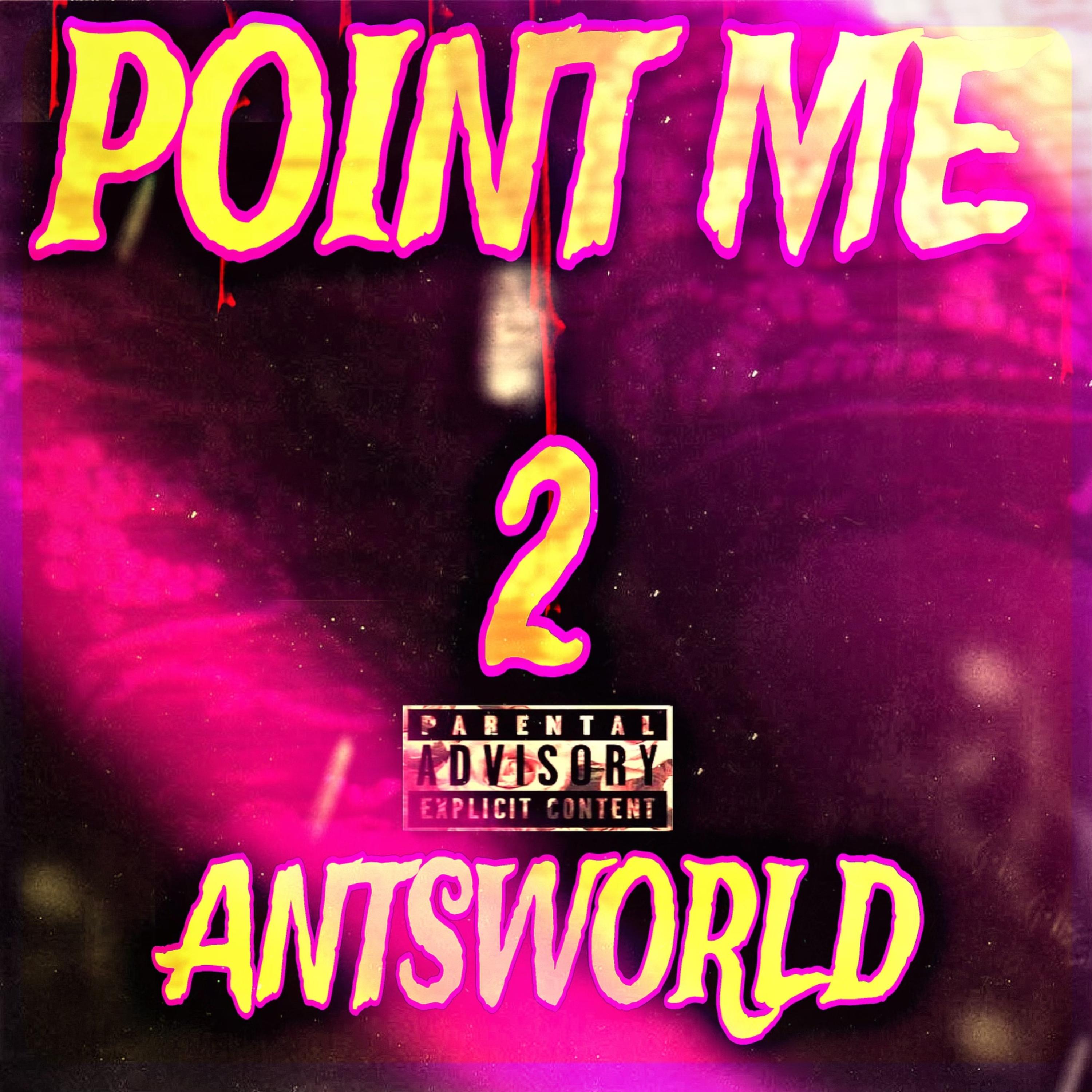 Point Me 2 artwork