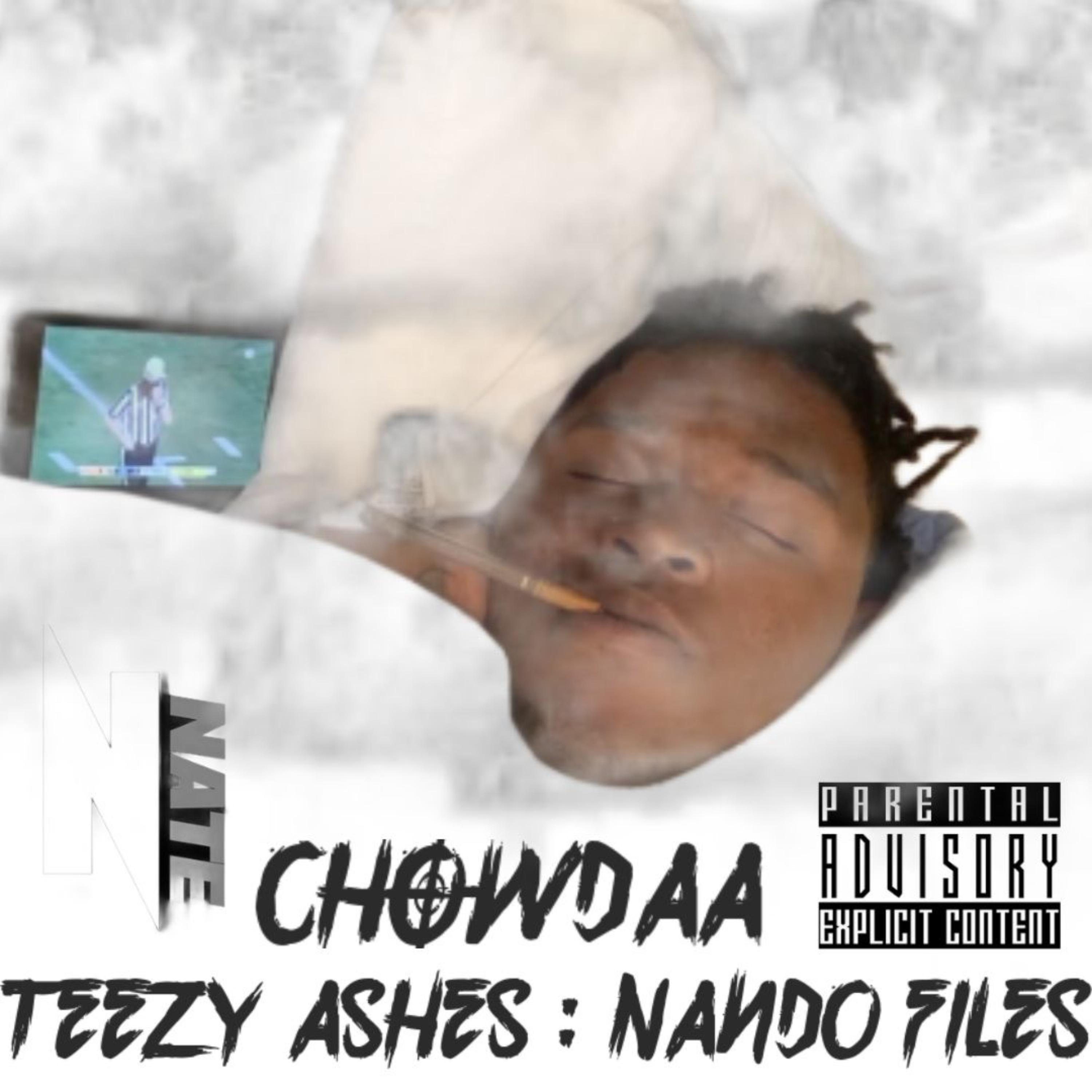 Teezy Ashes : Nando Files artwork