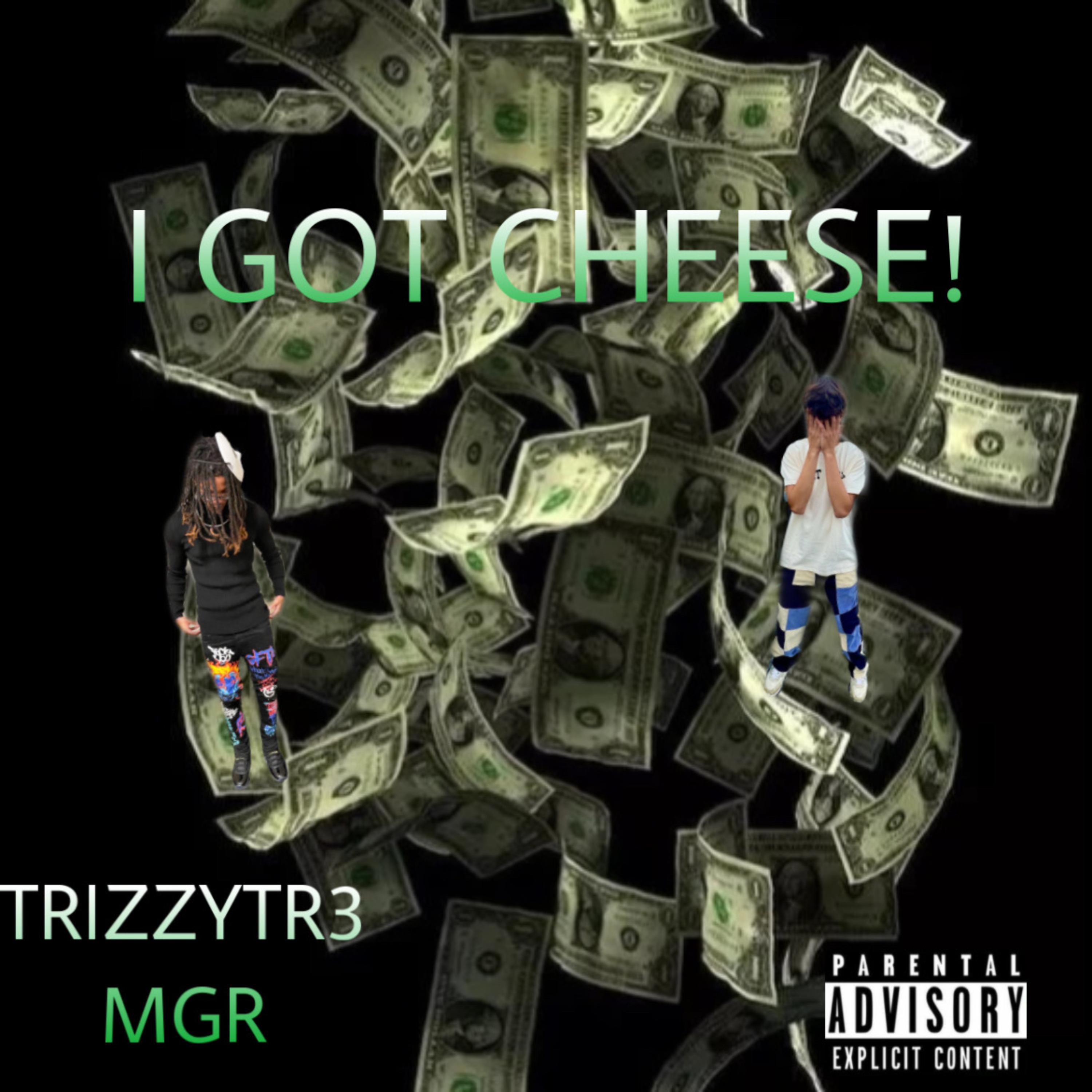I GOT CHEESE! artwork