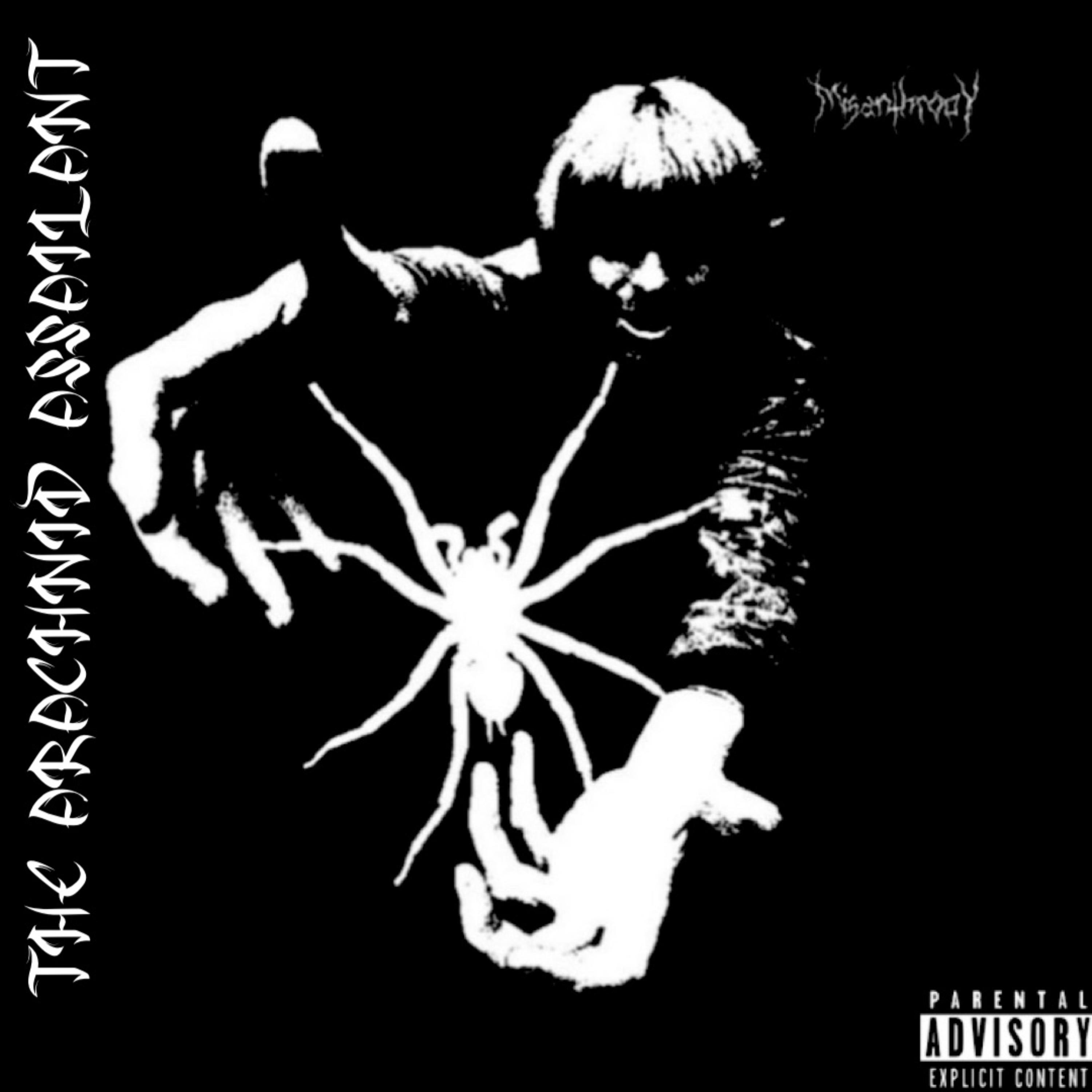 THE ARACHNID ASSAILANT artwork