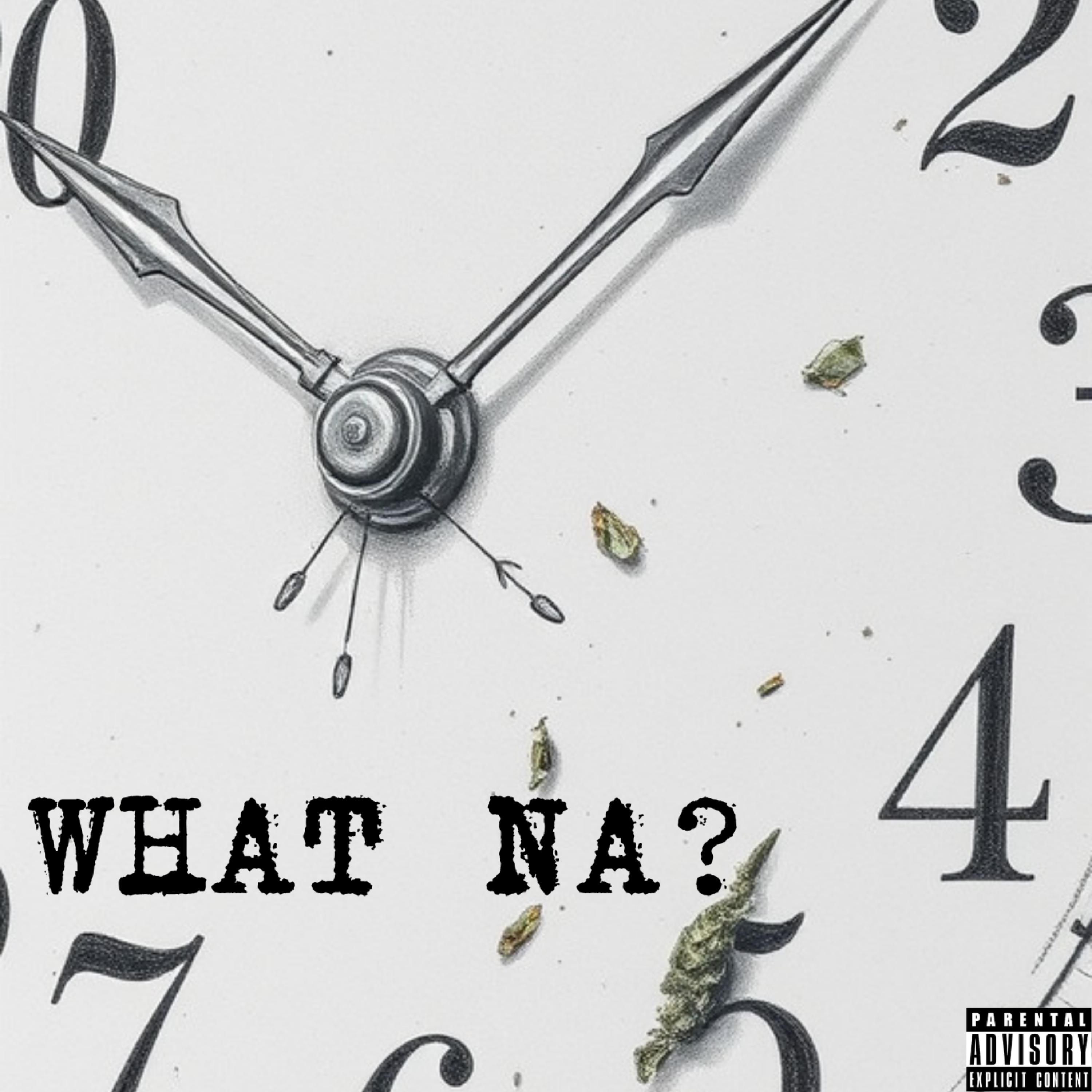 WHAT NA? by Miic Mike cover art