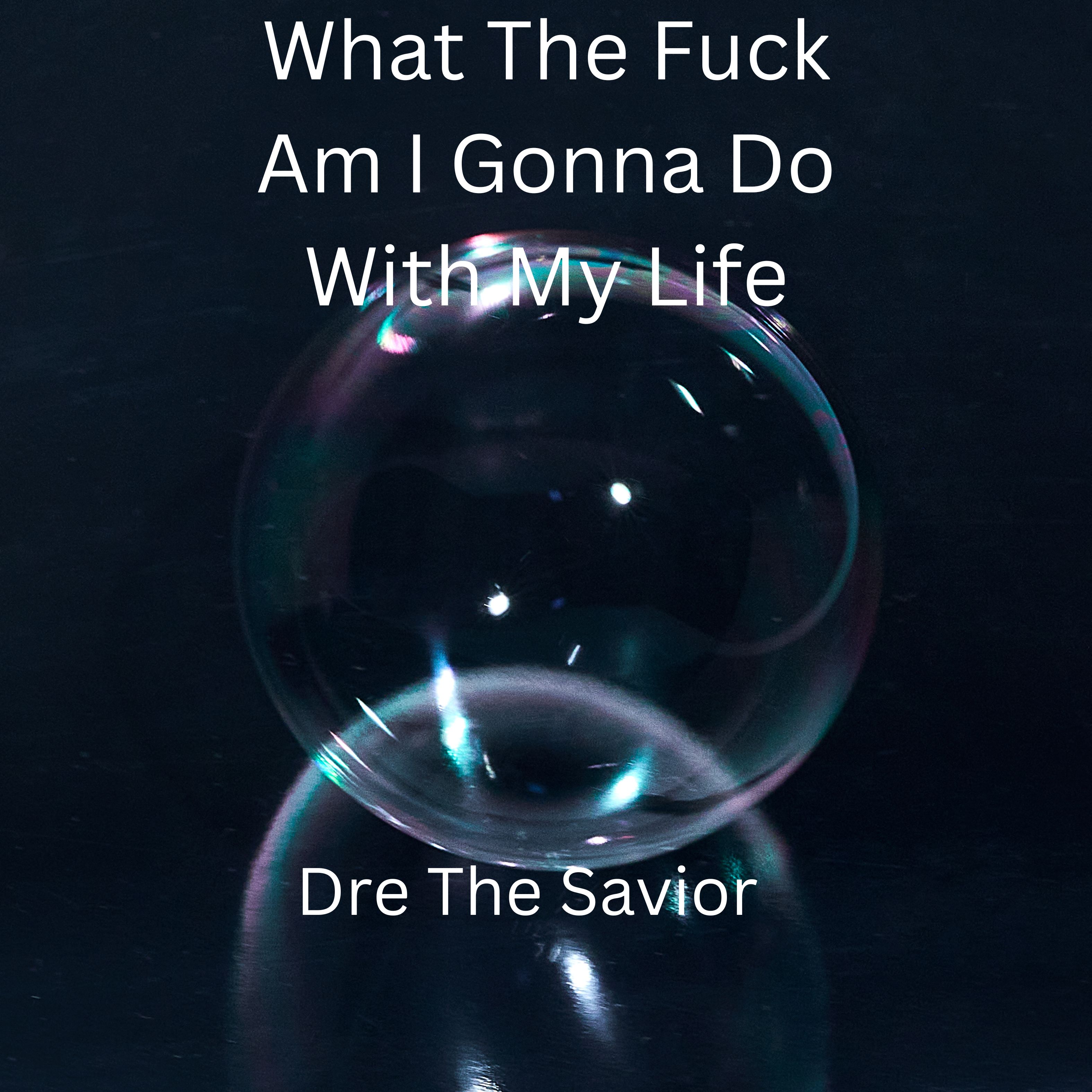 What The Fuck Am I Gonna Do With My Life artwork