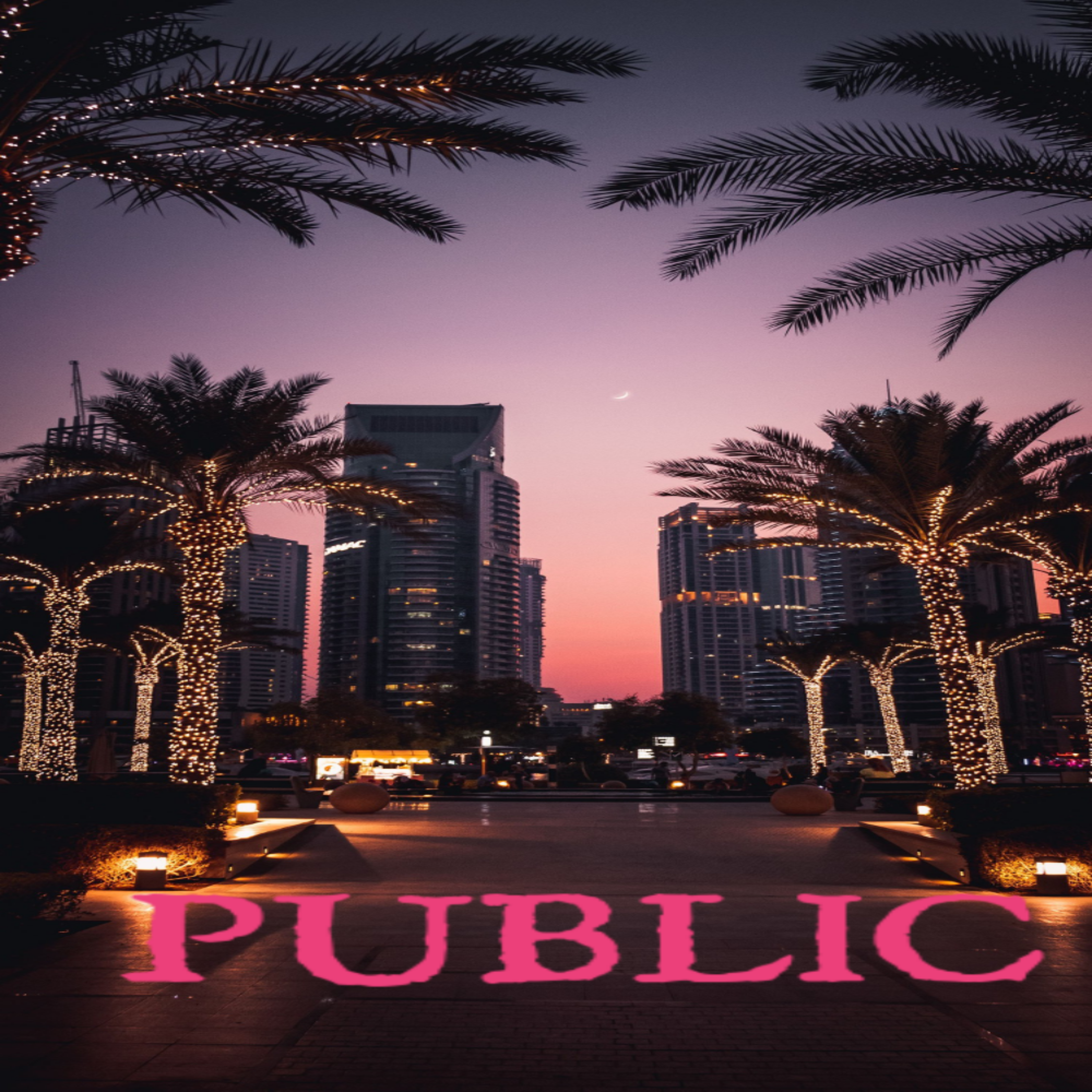 Public by Insane Duece cover art