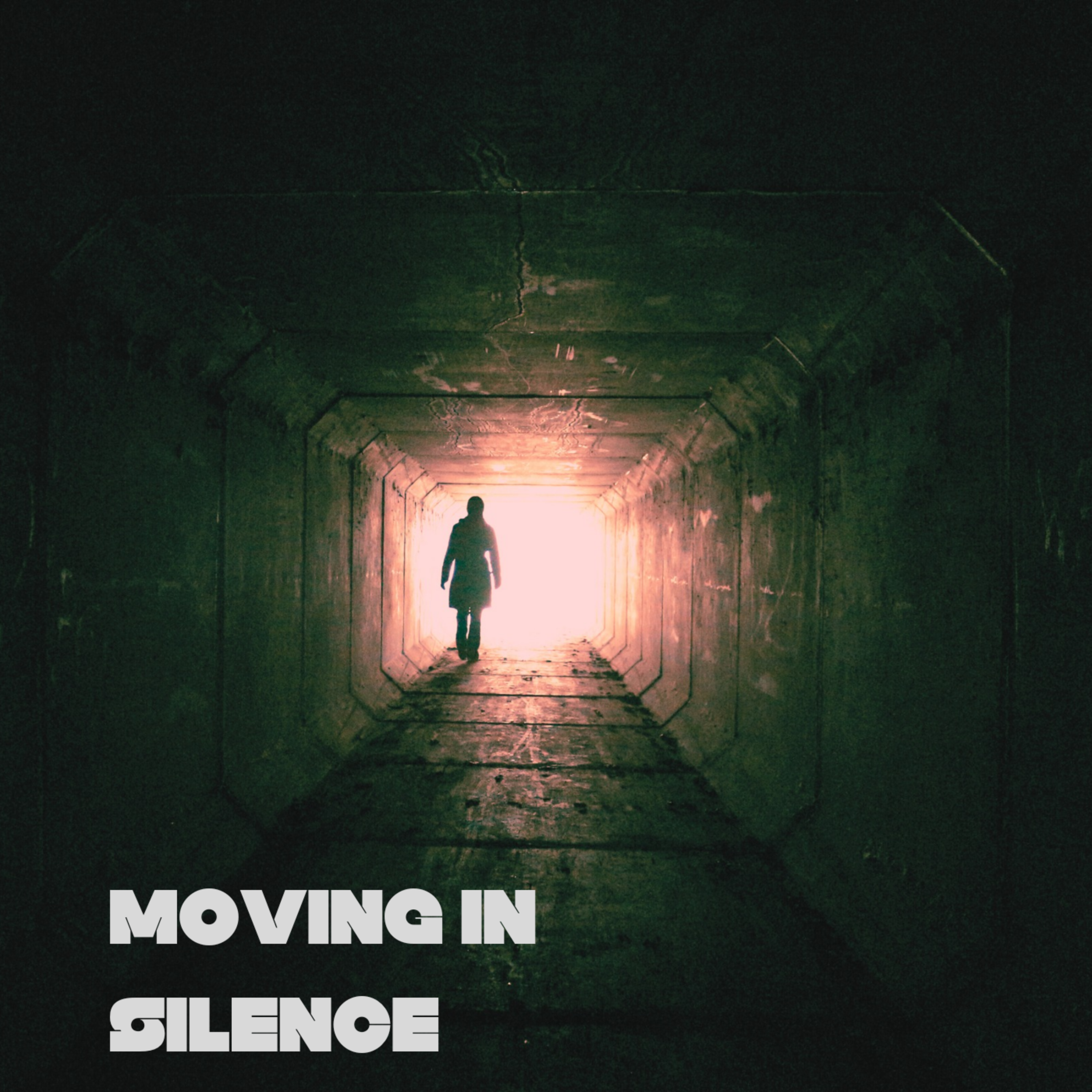 Moving in Silence artwork