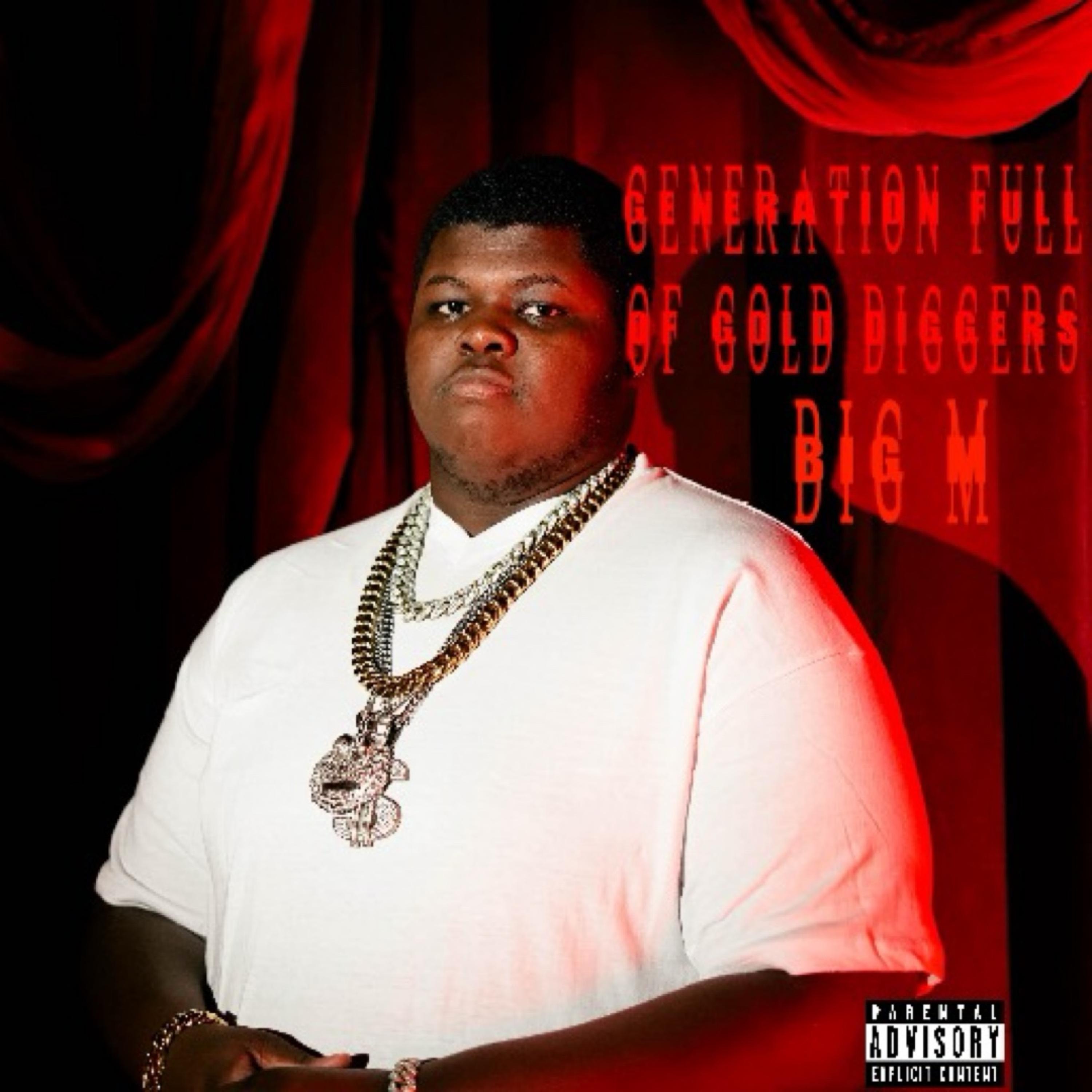 Generation Full Of Gold Diggers artwork
