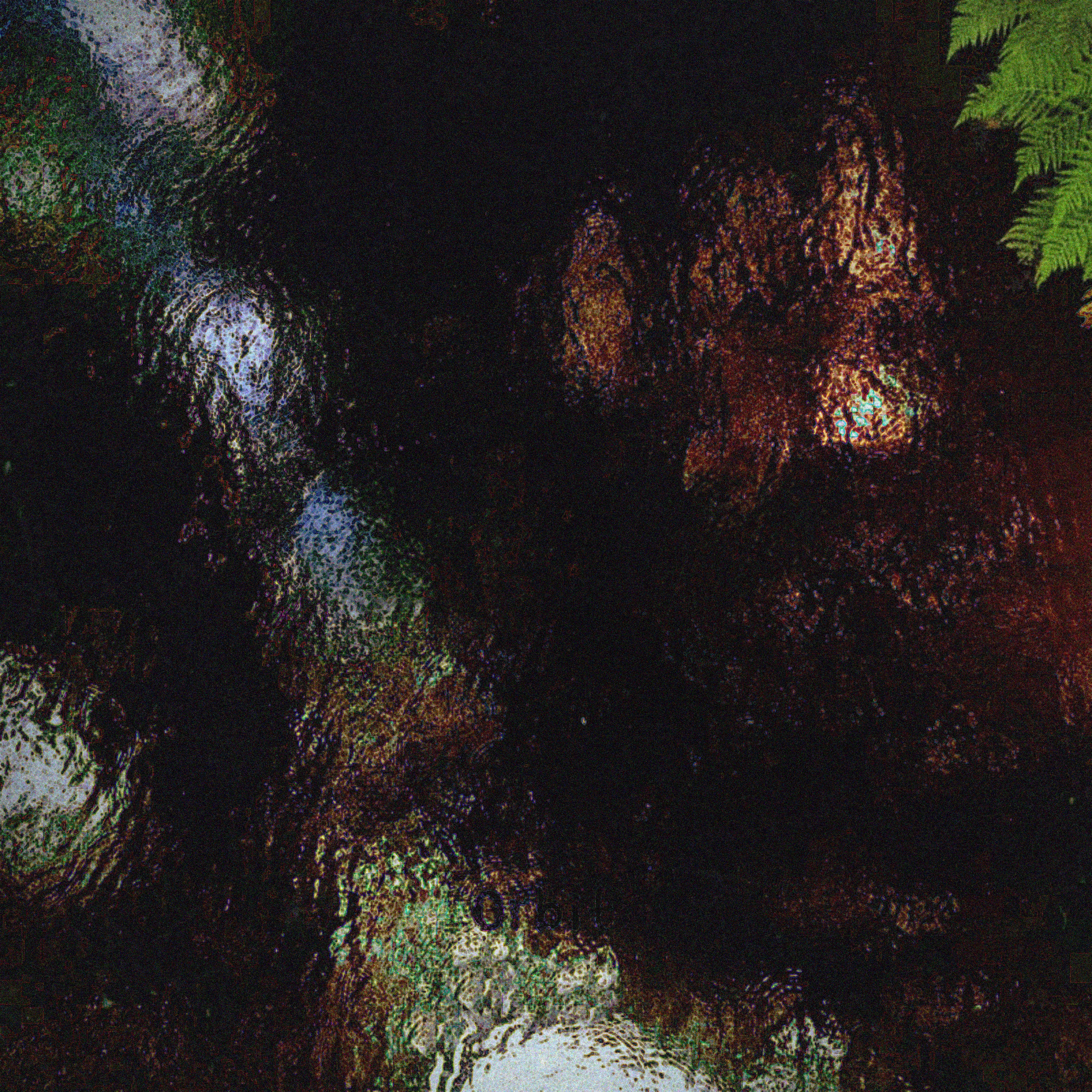 Adventum artwork