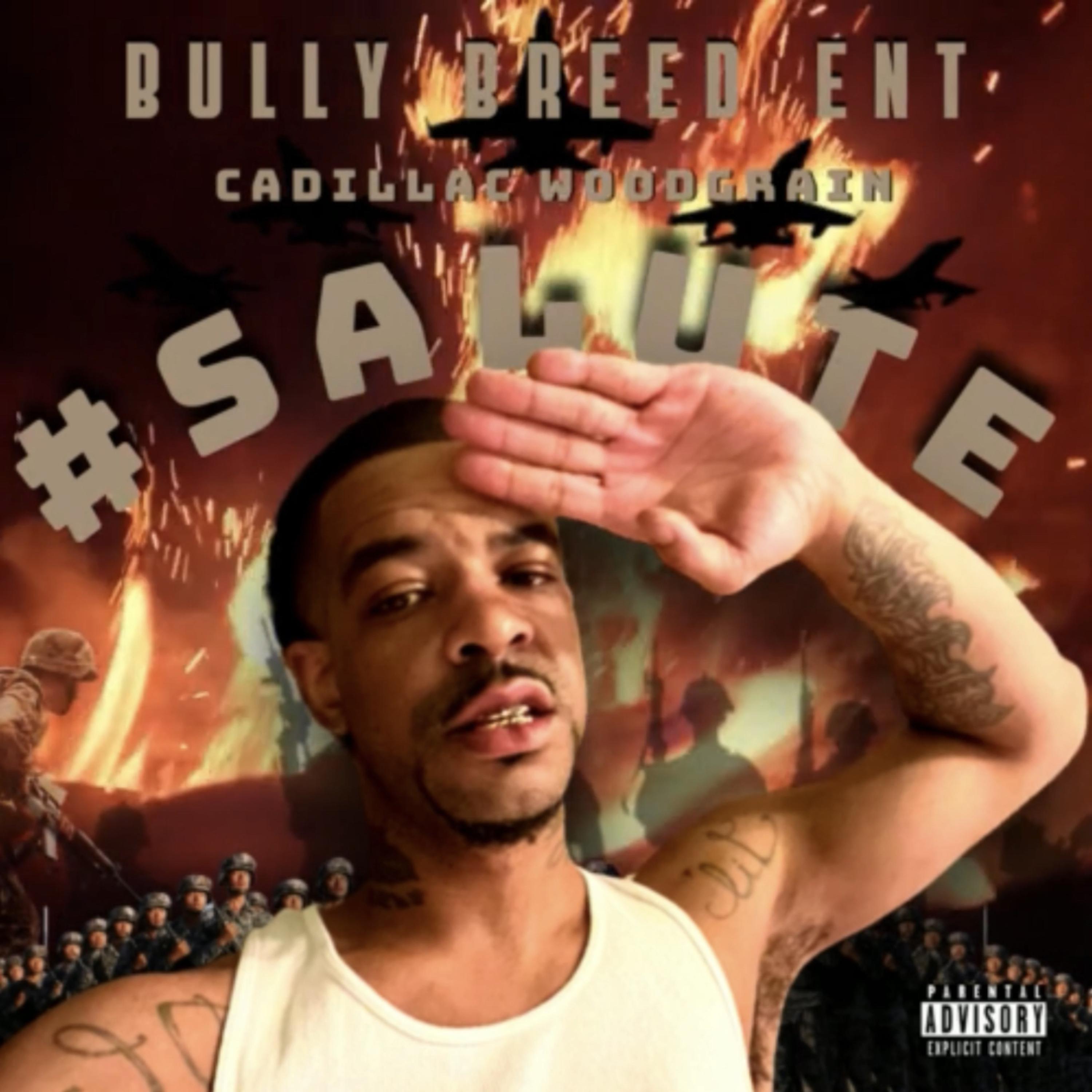 Salute artwork