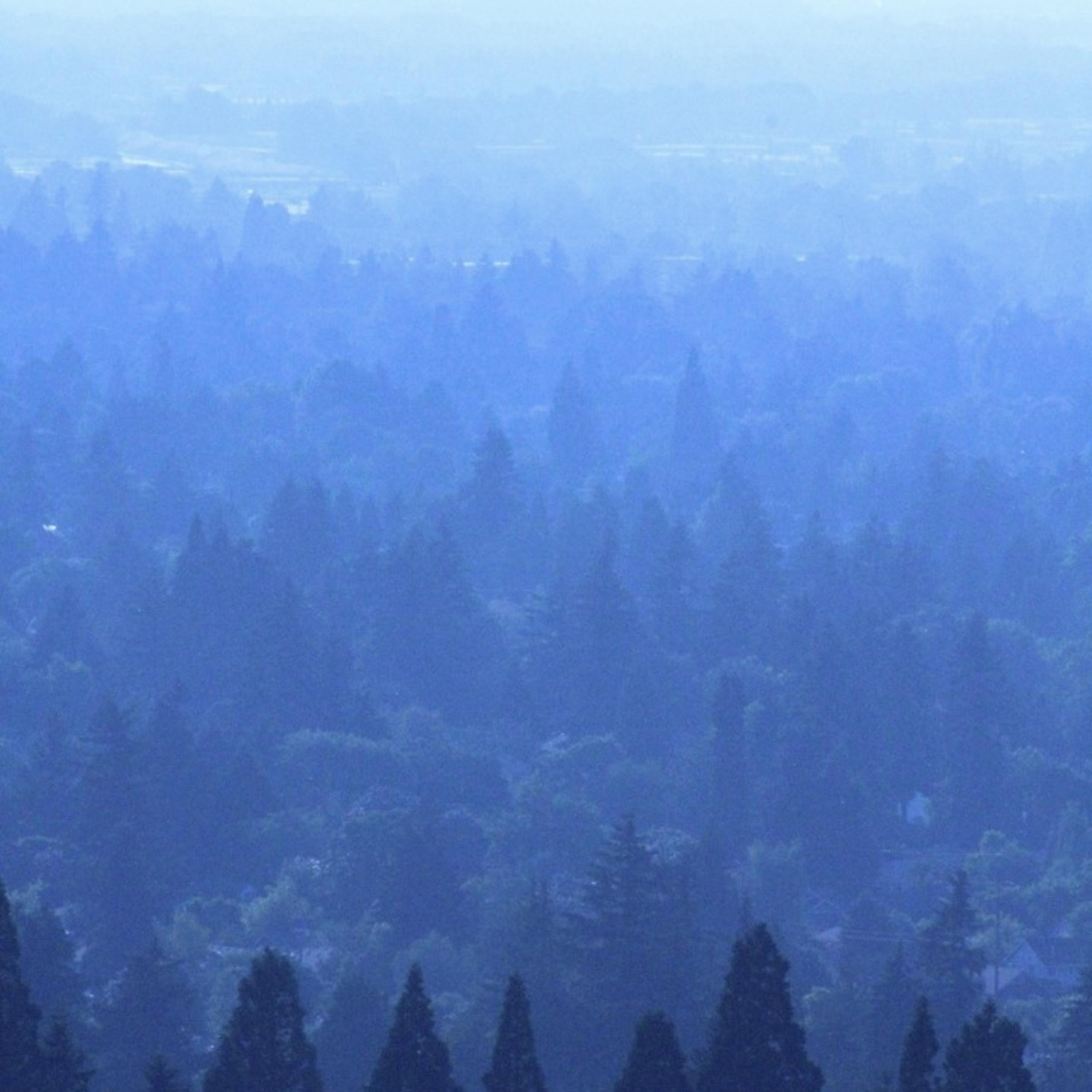 Without U </3 artwork