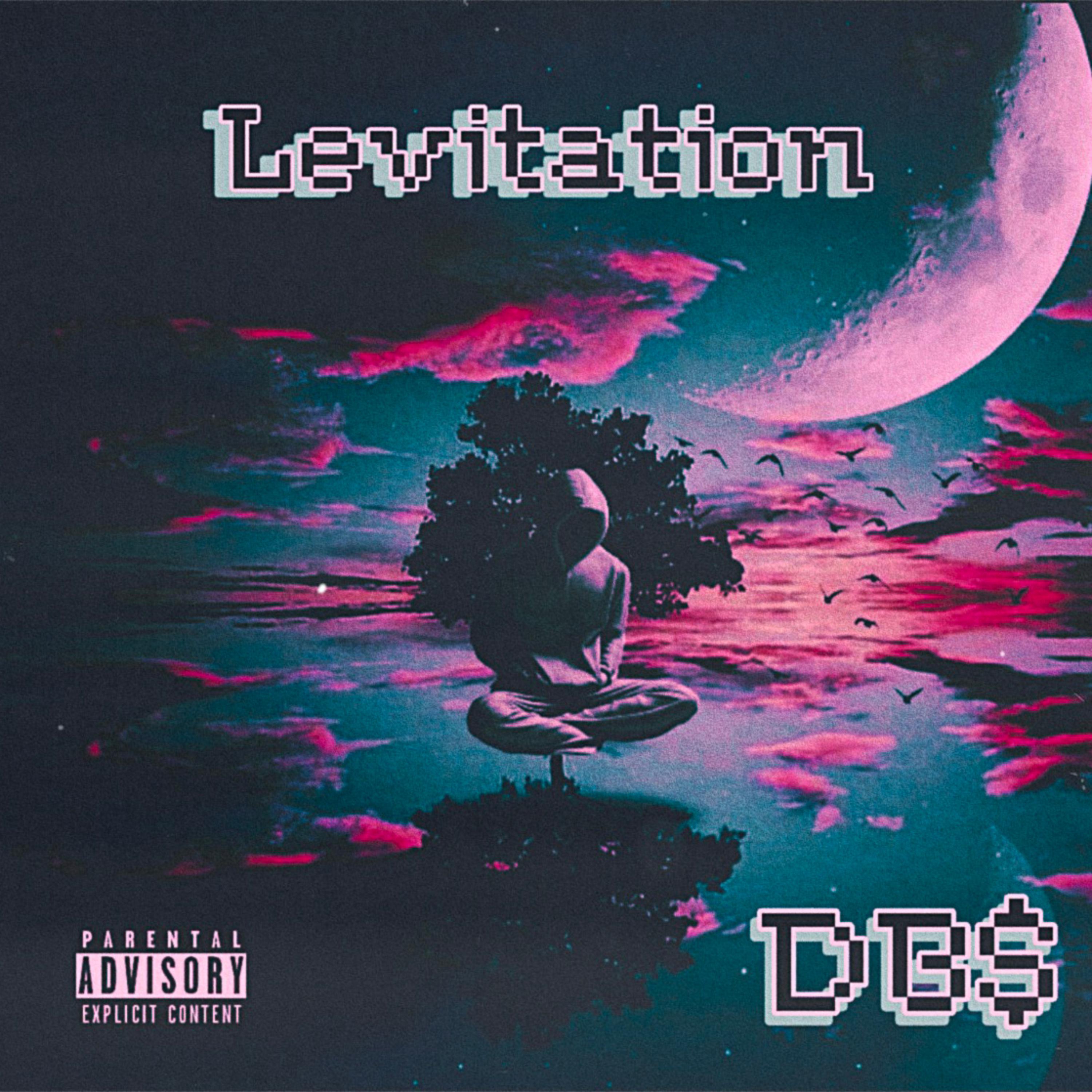 Levitation !! artwork