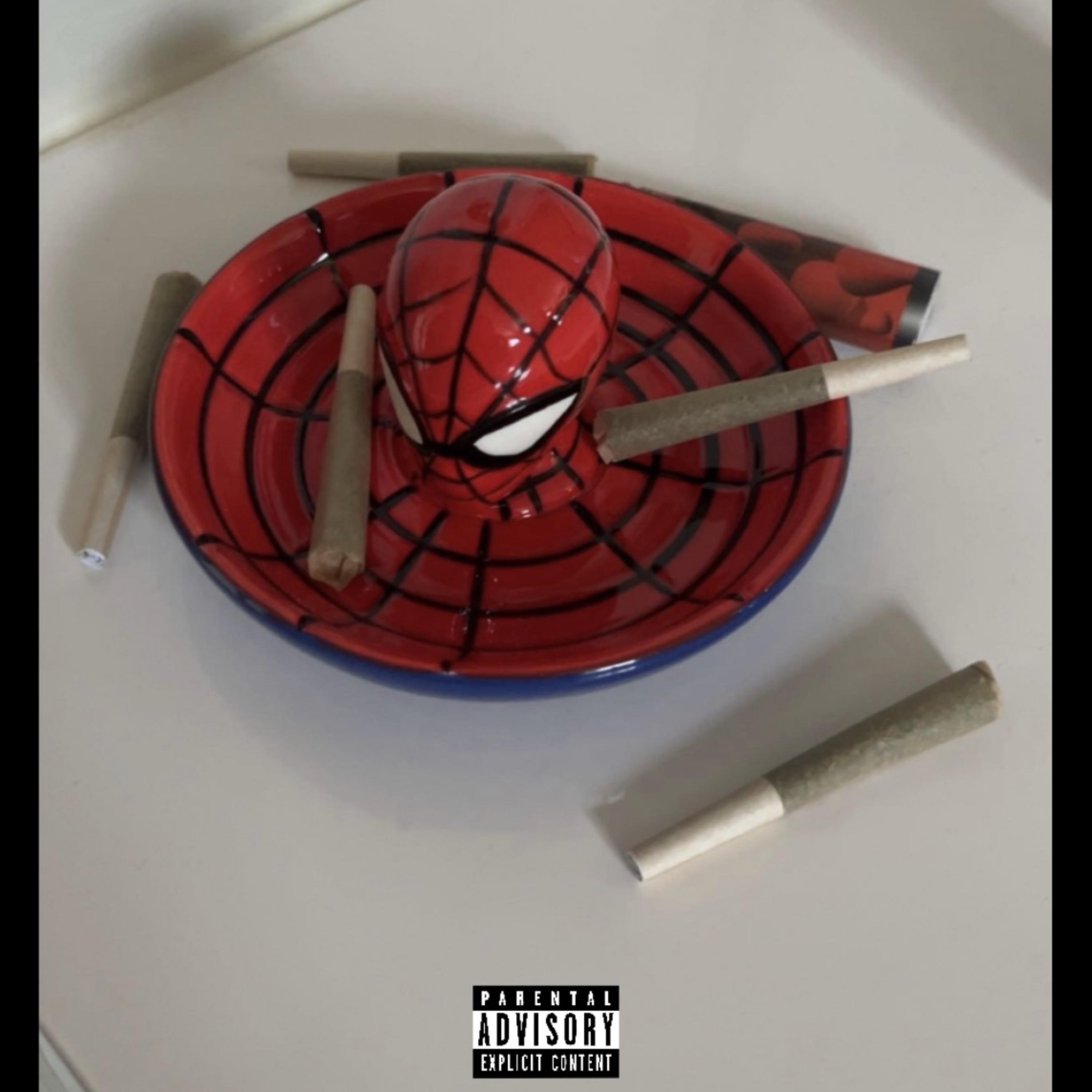 SPIDER-MAN/DIRTBAG FLOW 2 by KINGGG J cover art